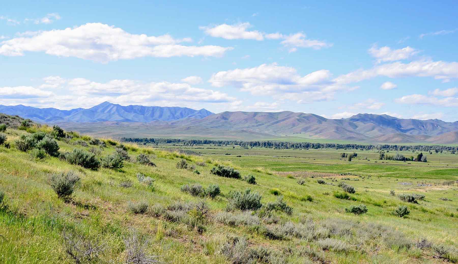 Timmerman Ranch property picture 18 of 18