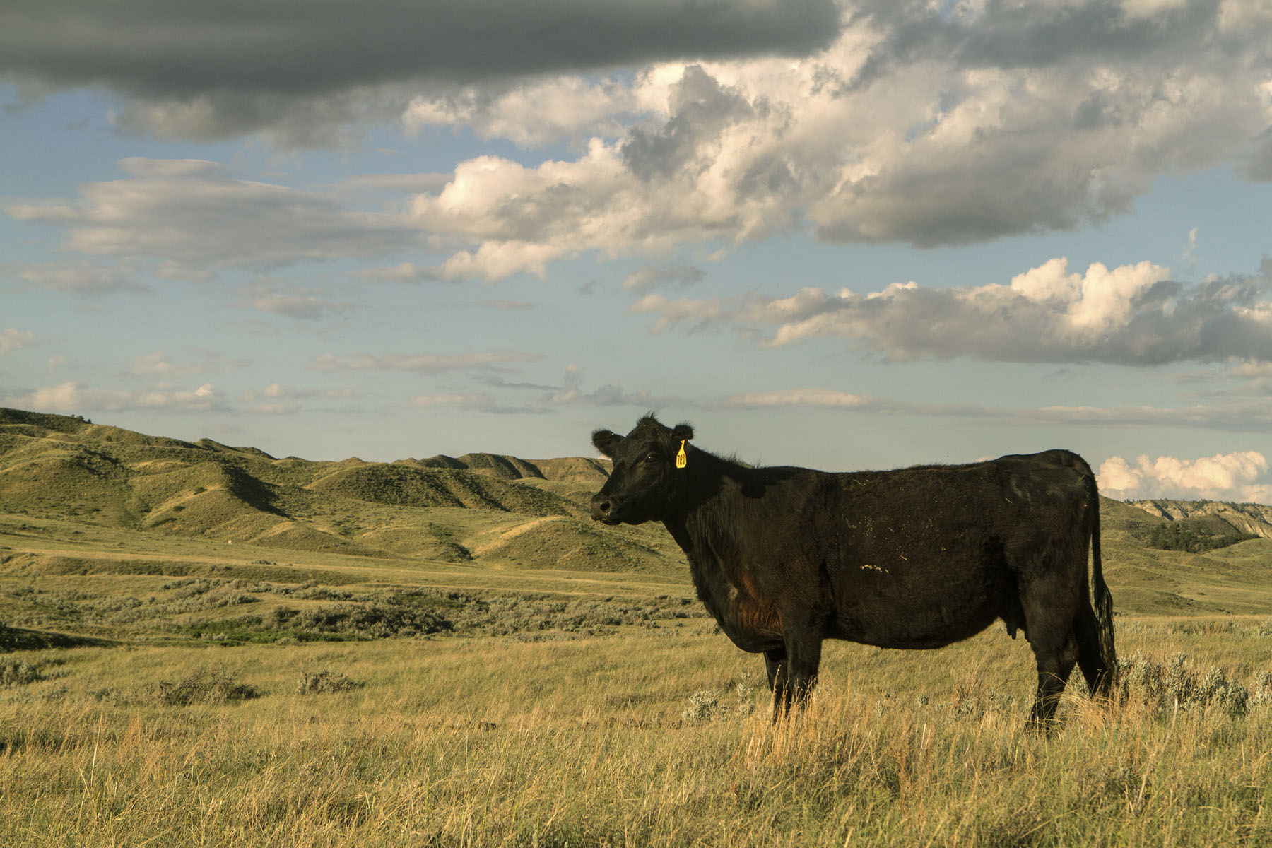 PN Ranch property picture 181 of 184