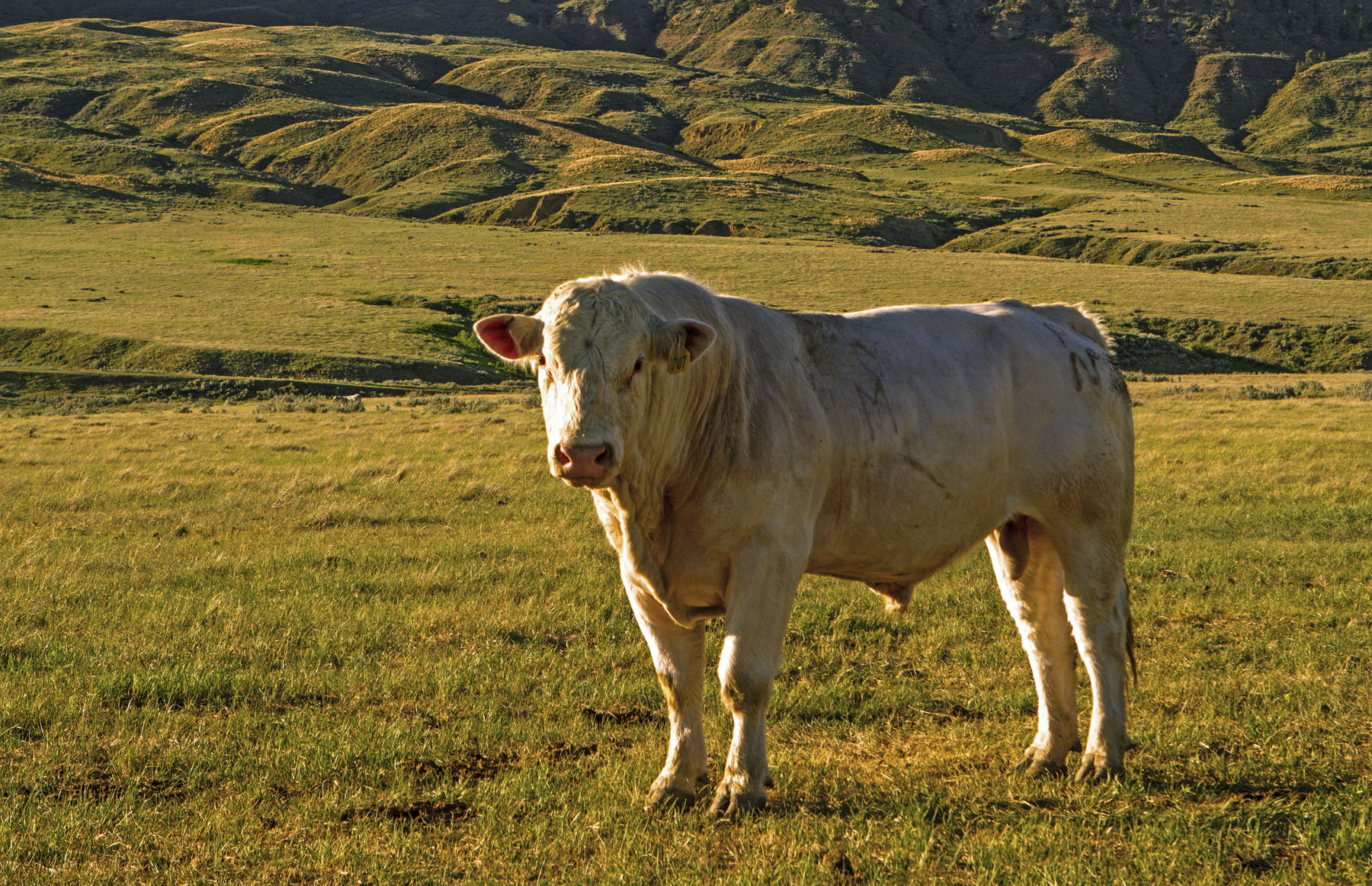 PN Ranch property picture 180 of 184