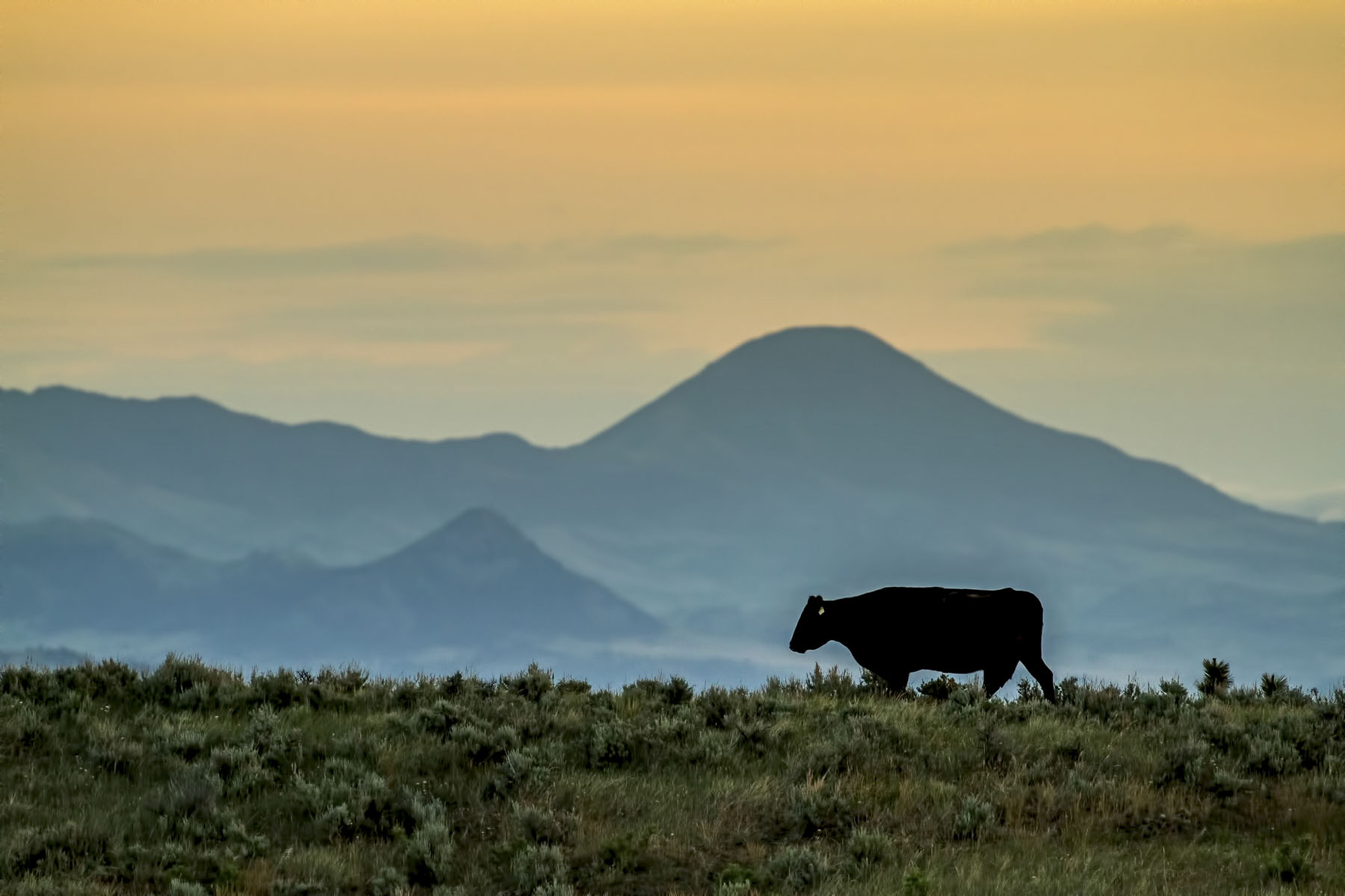 PN Ranch property picture 177 of 184