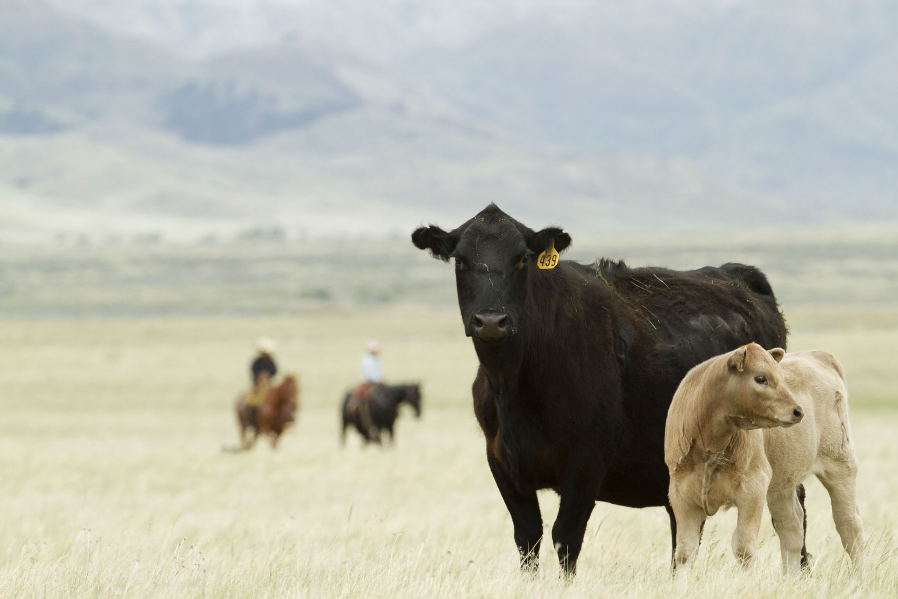 PN Ranch property picture 174 of 184