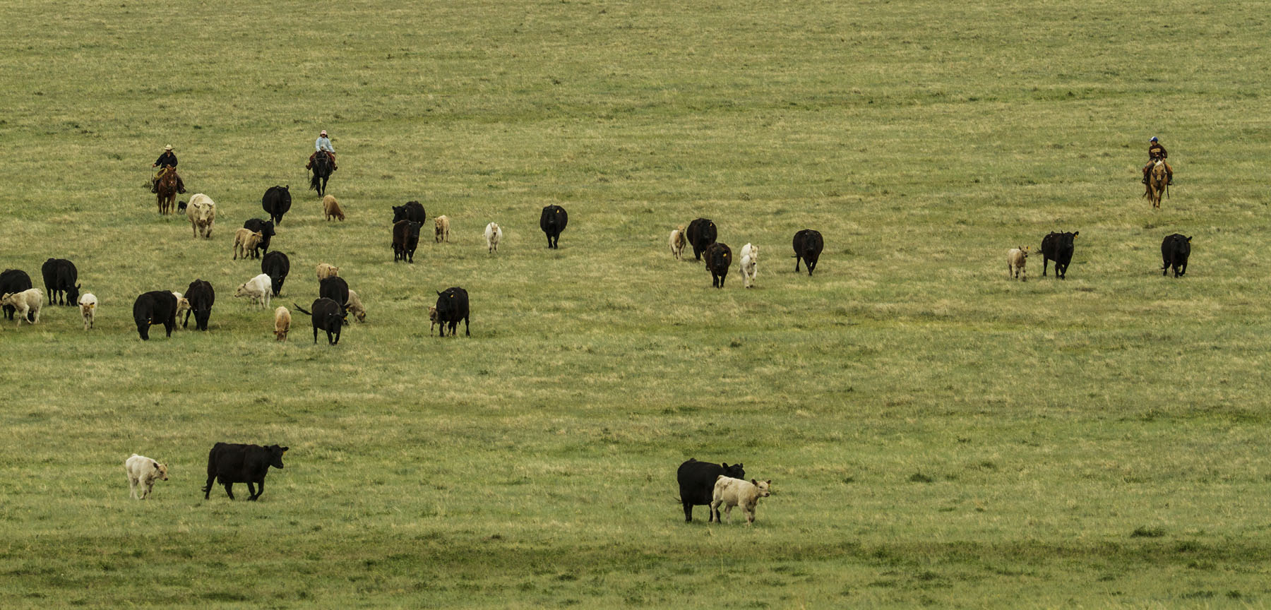 PN Ranch property picture 173 of 184