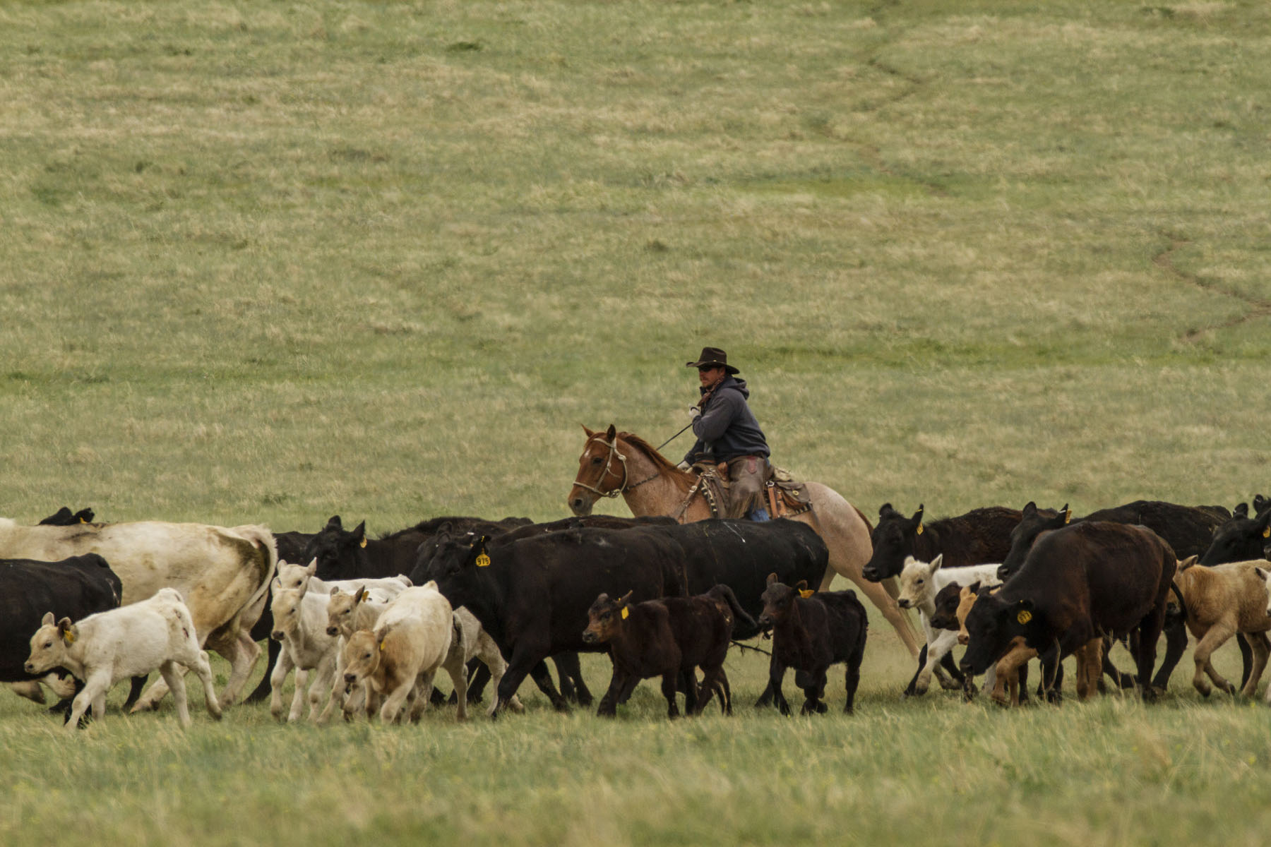PN Ranch property picture 172 of 184