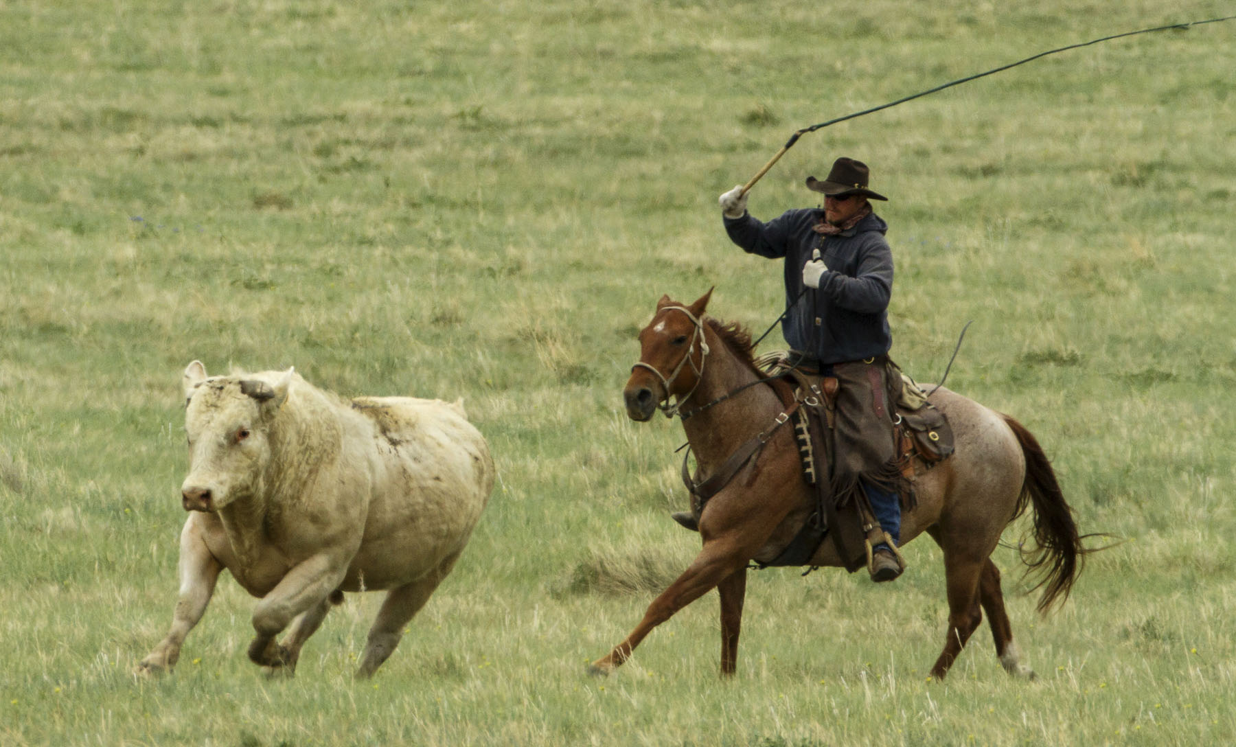 PN Ranch property picture 171 of 184