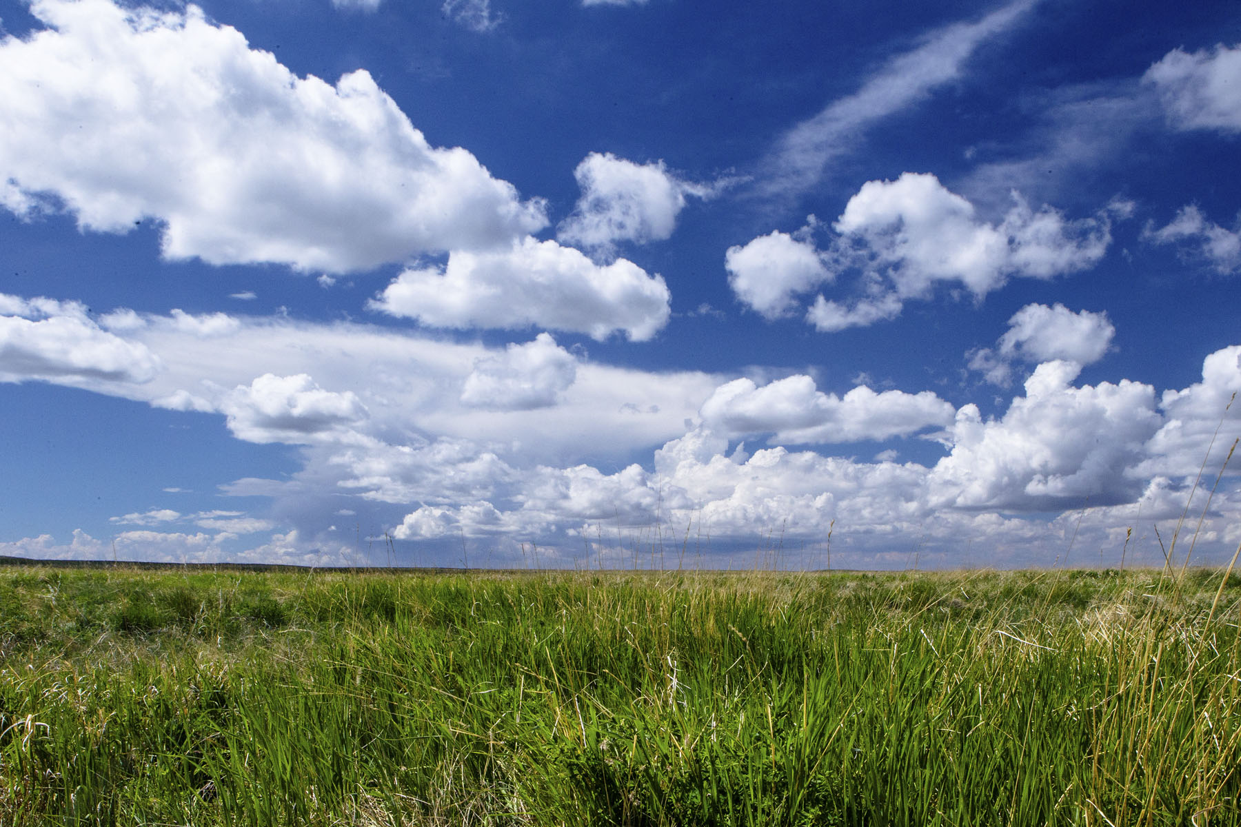 PN Ranch property picture 170 of 184