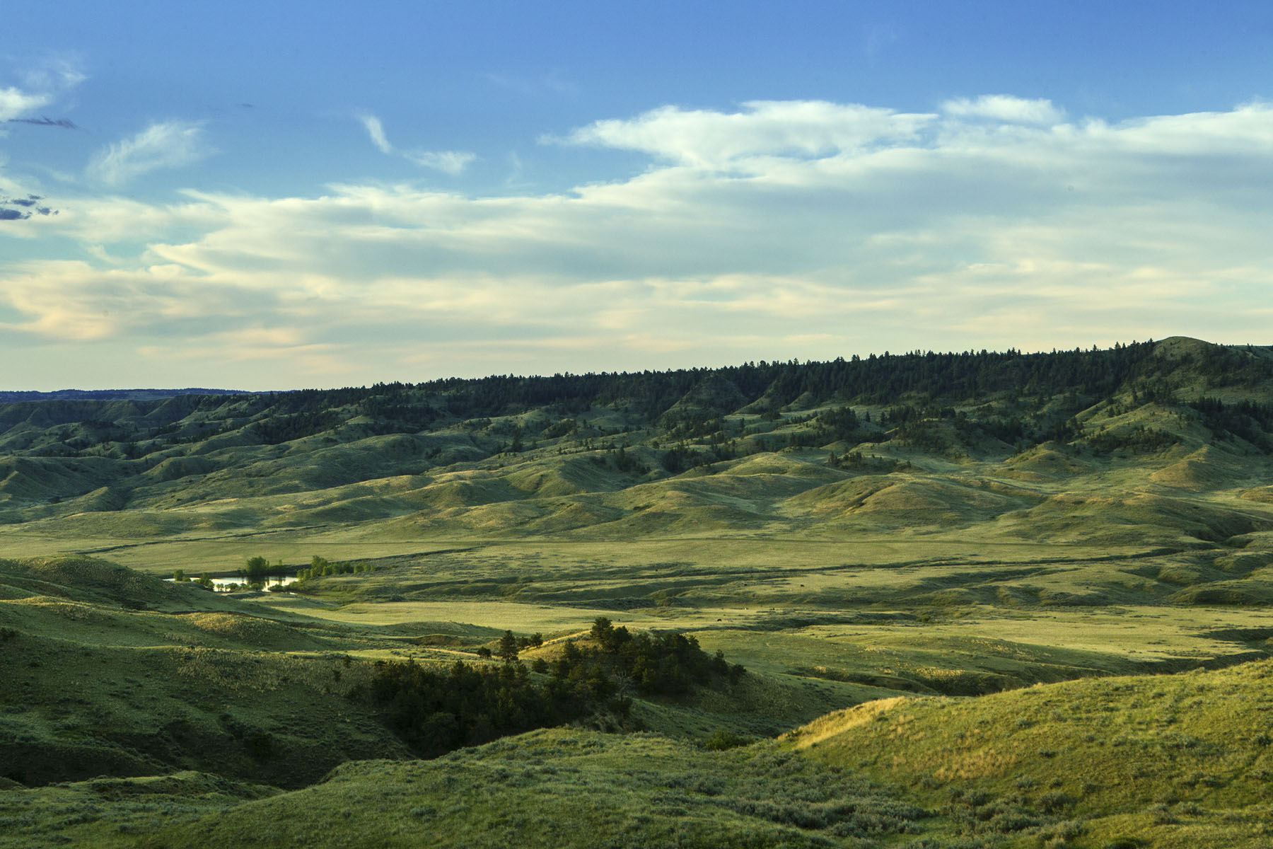 PN Ranch property picture 165 of 184