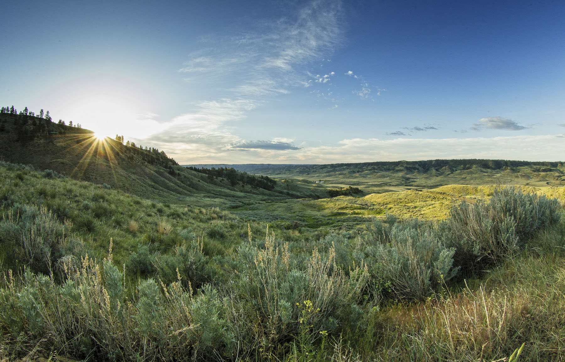 PN Ranch property picture 164 of 184