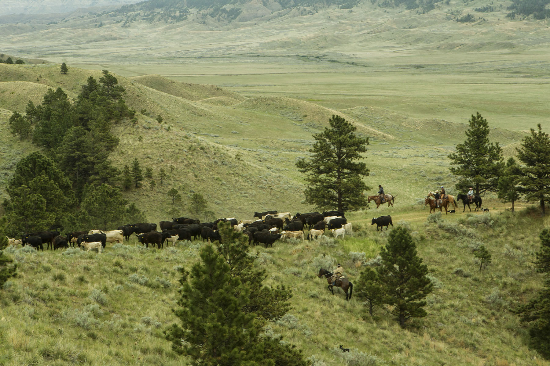 PN Ranch property picture 162 of 184