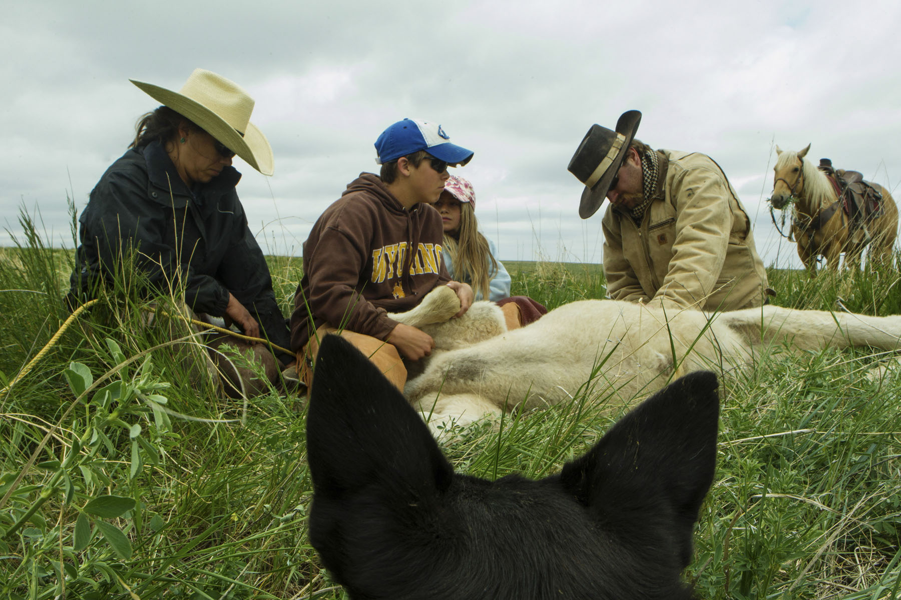 PN Ranch property picture 161 of 184