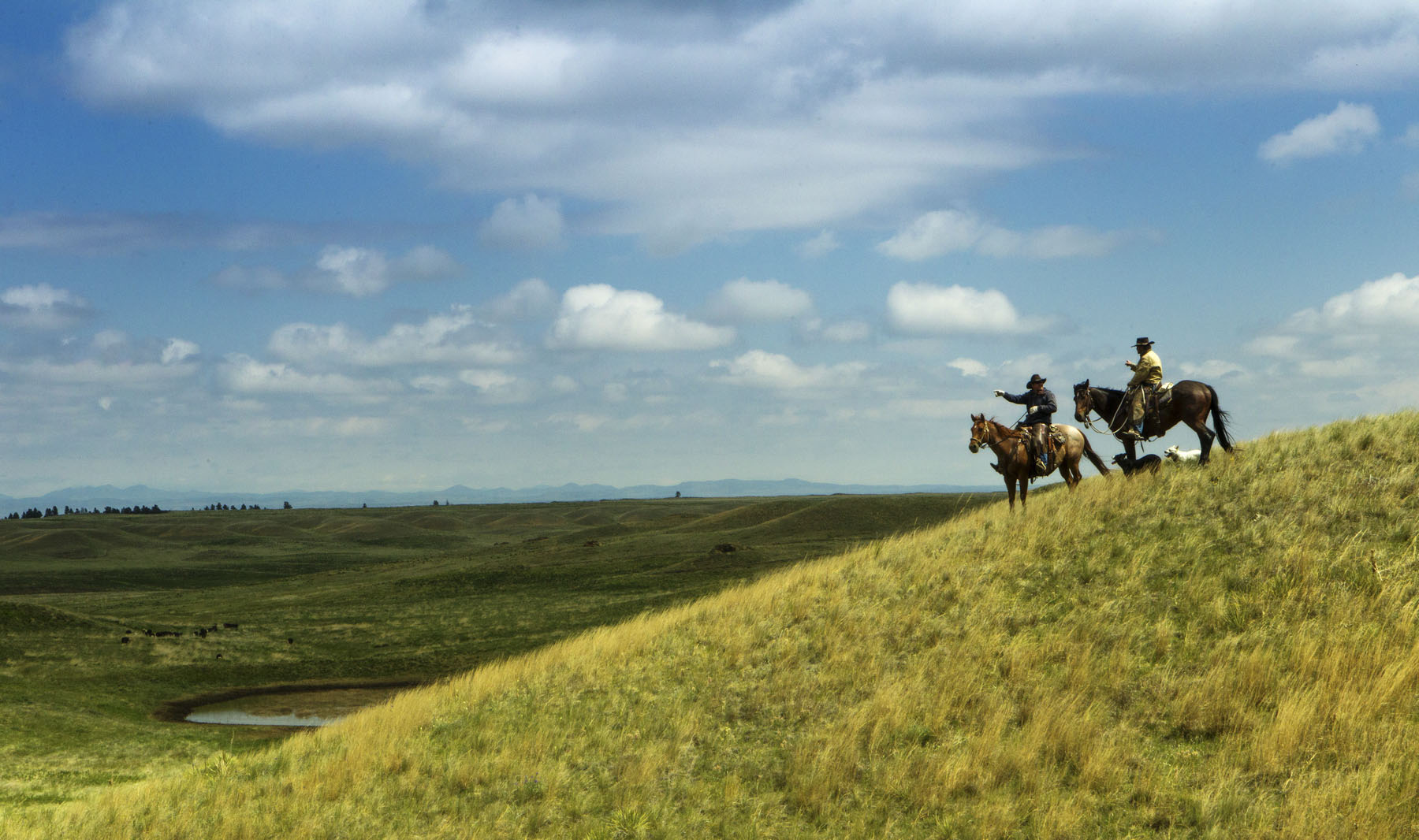 PN Ranch property picture 160 of 184