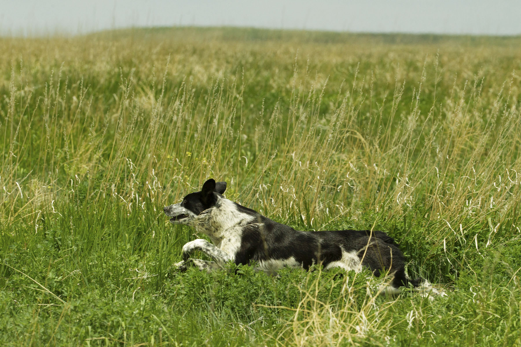 PN Ranch property picture 159 of 184