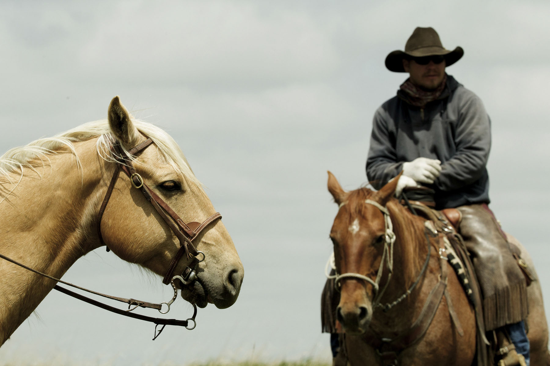 PN Ranch property picture 158 of 184