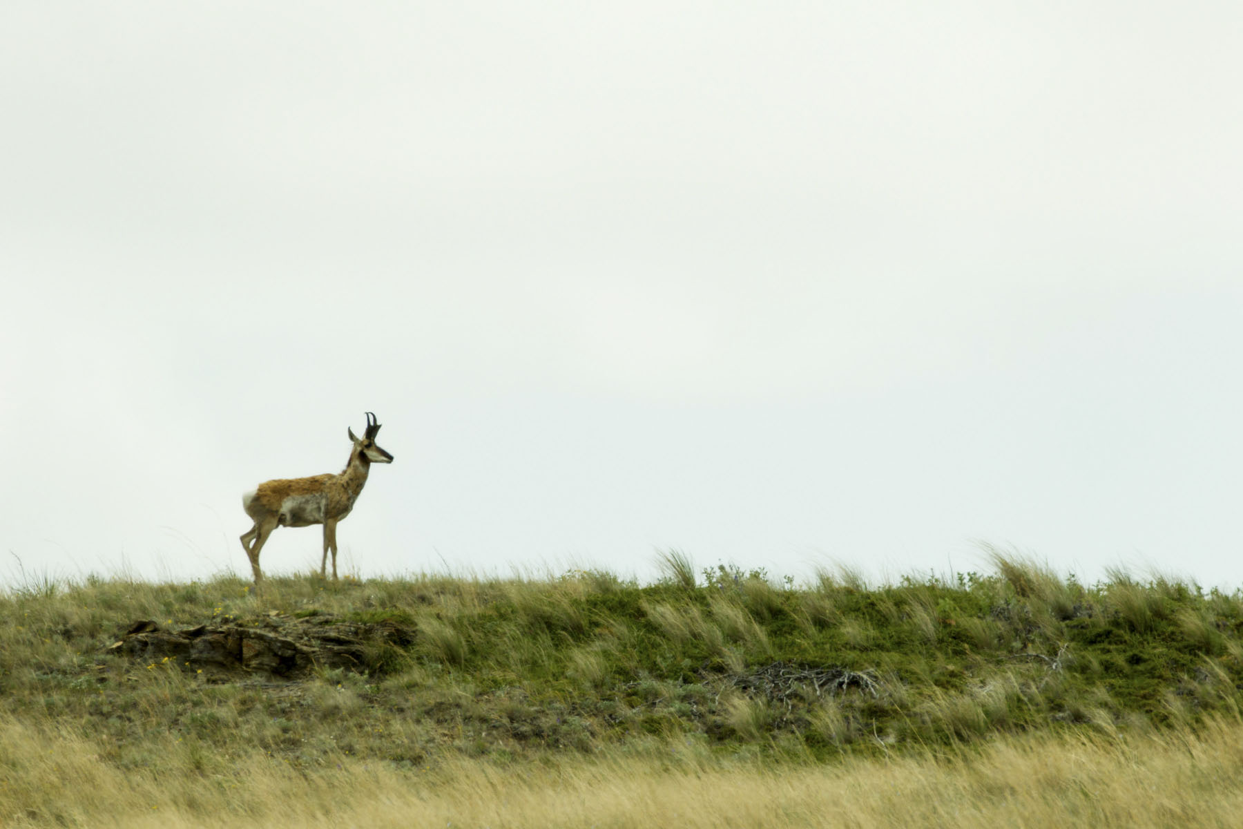 PN Ranch property picture 157 of 184