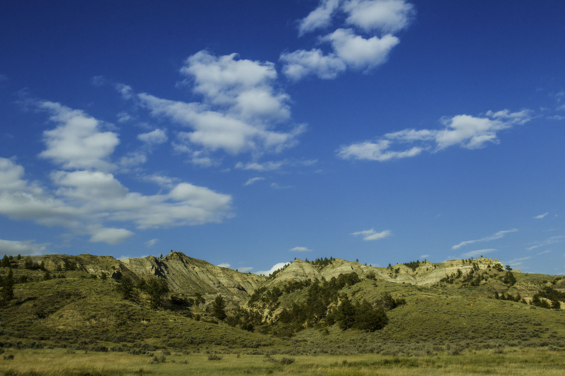 PN Ranch property picture 154 of 184