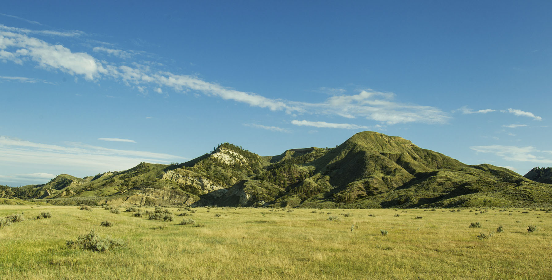PN Ranch property picture 153 of 184