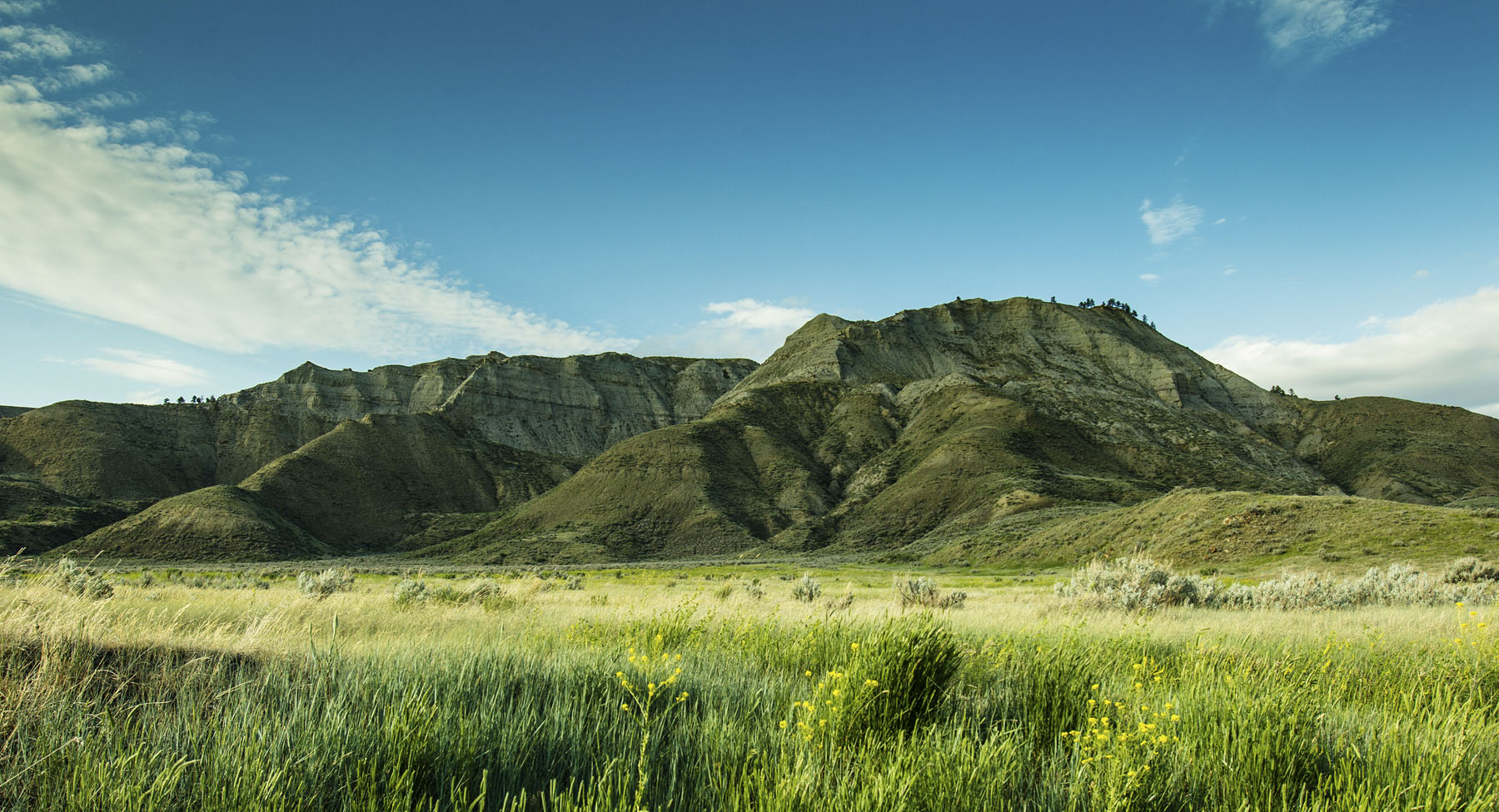 PN Ranch property picture 152 of 184