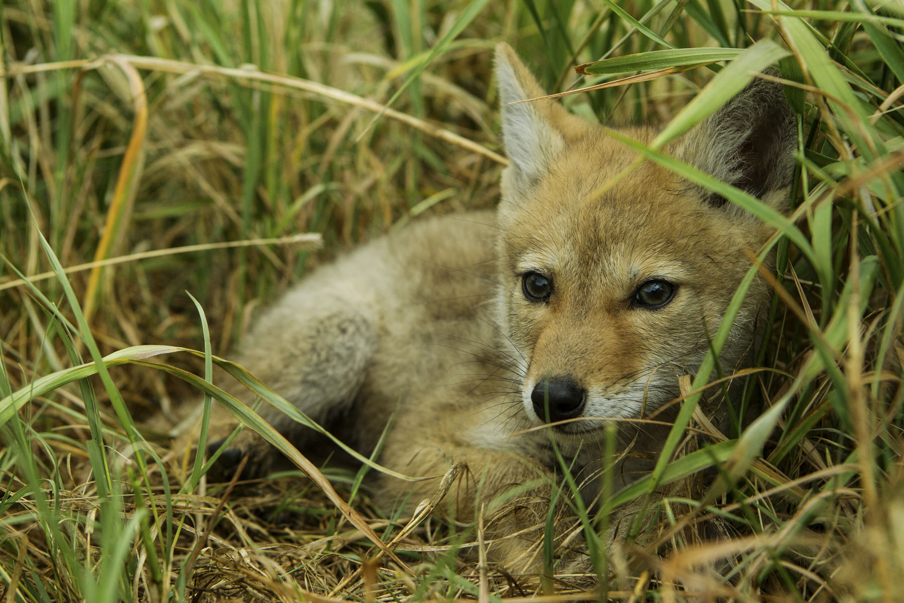 PN Ranch property picture 145 of 184