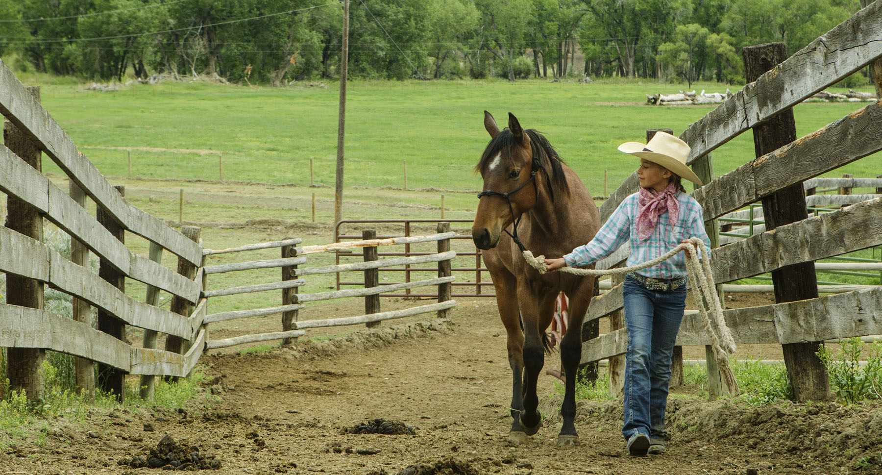 PN Ranch property picture 144 of 184
