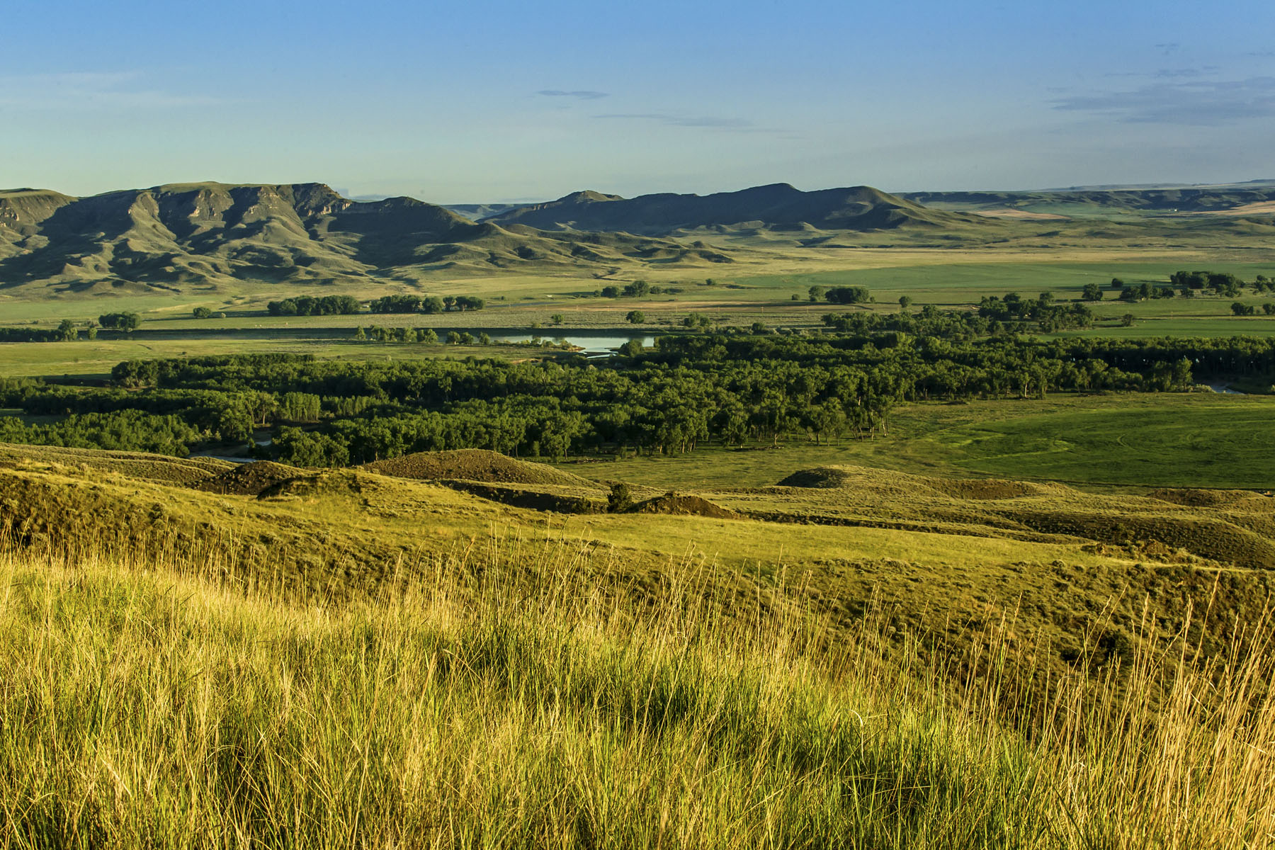 PN Ranch property picture 139 of 184