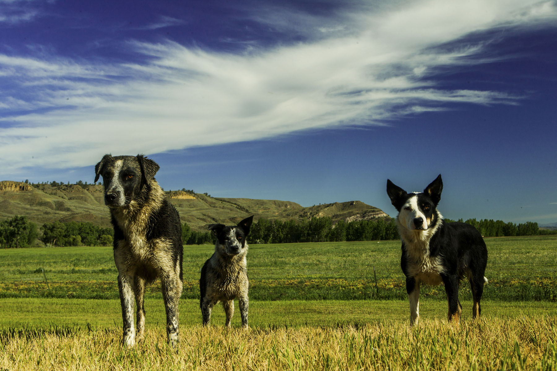 PN Ranch property picture 126 of 184