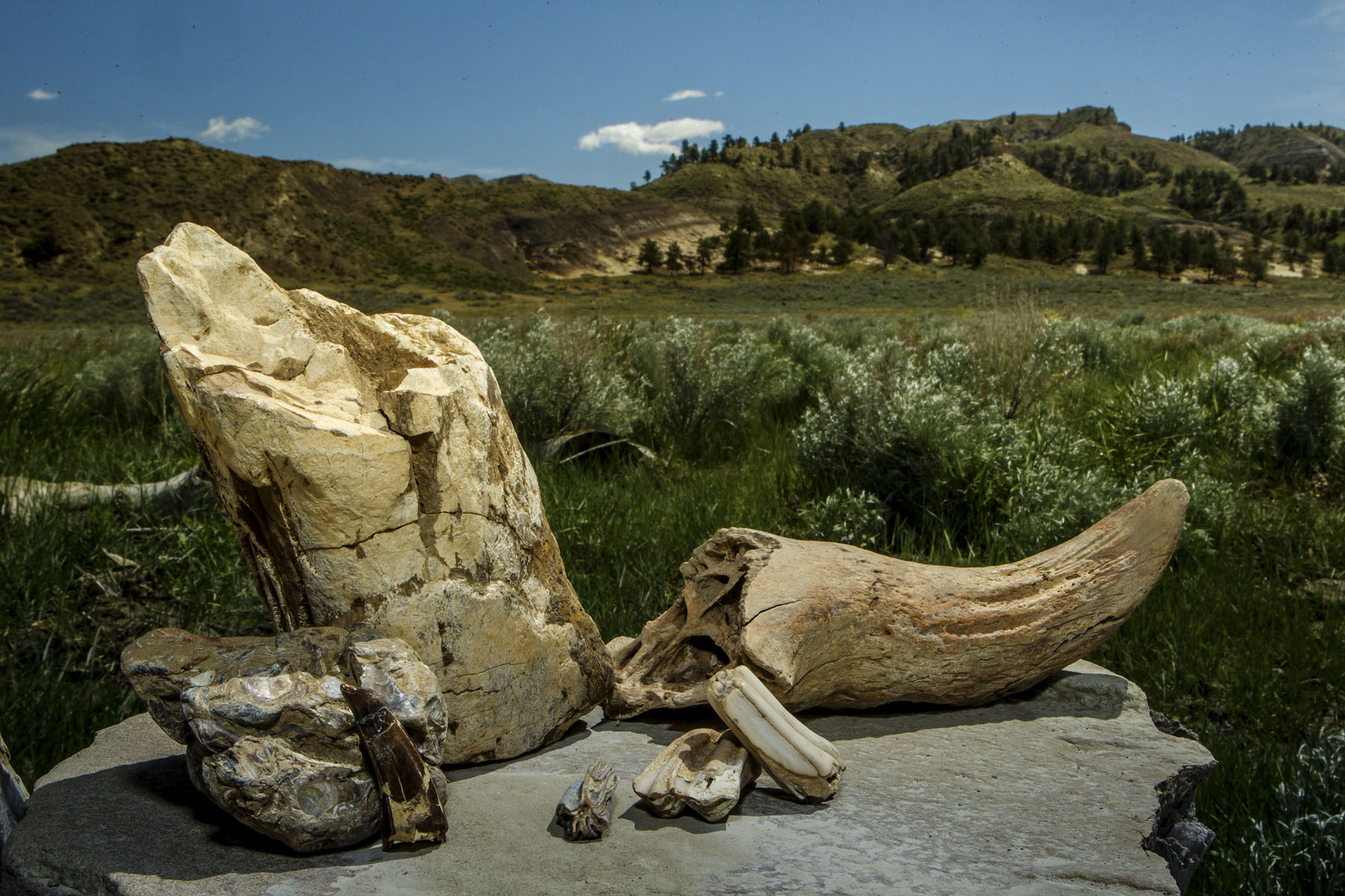 PN Ranch property picture 125 of 184