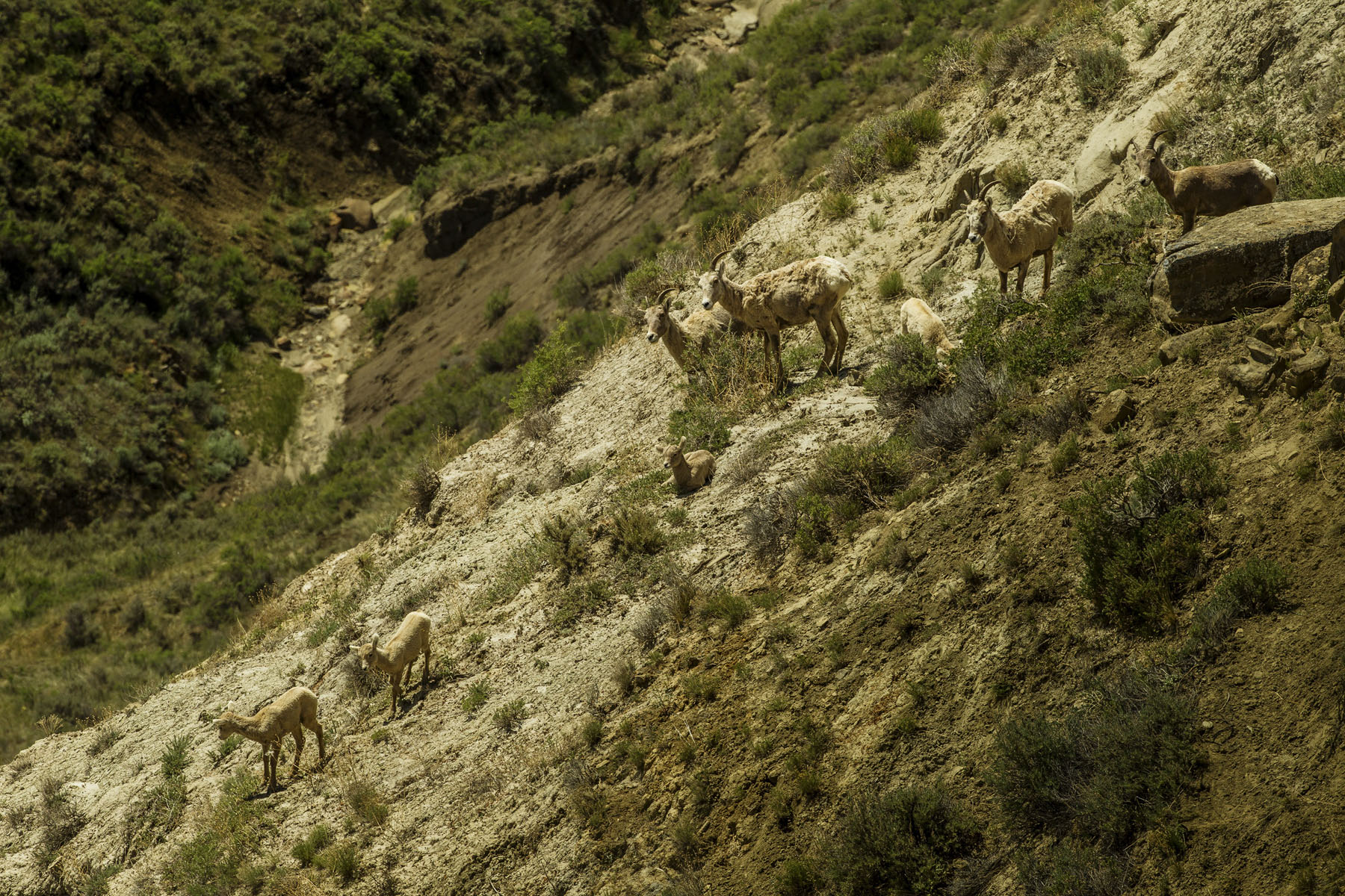 PN Ranch property picture 121 of 184
