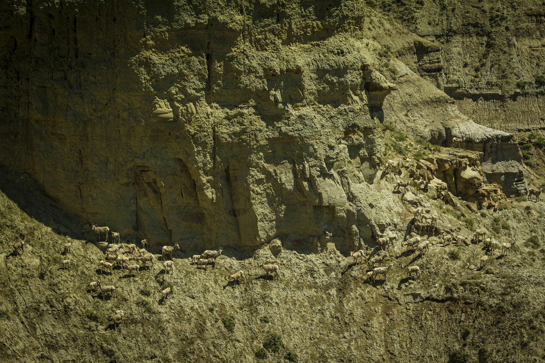 PN Ranch property picture 120 of 184