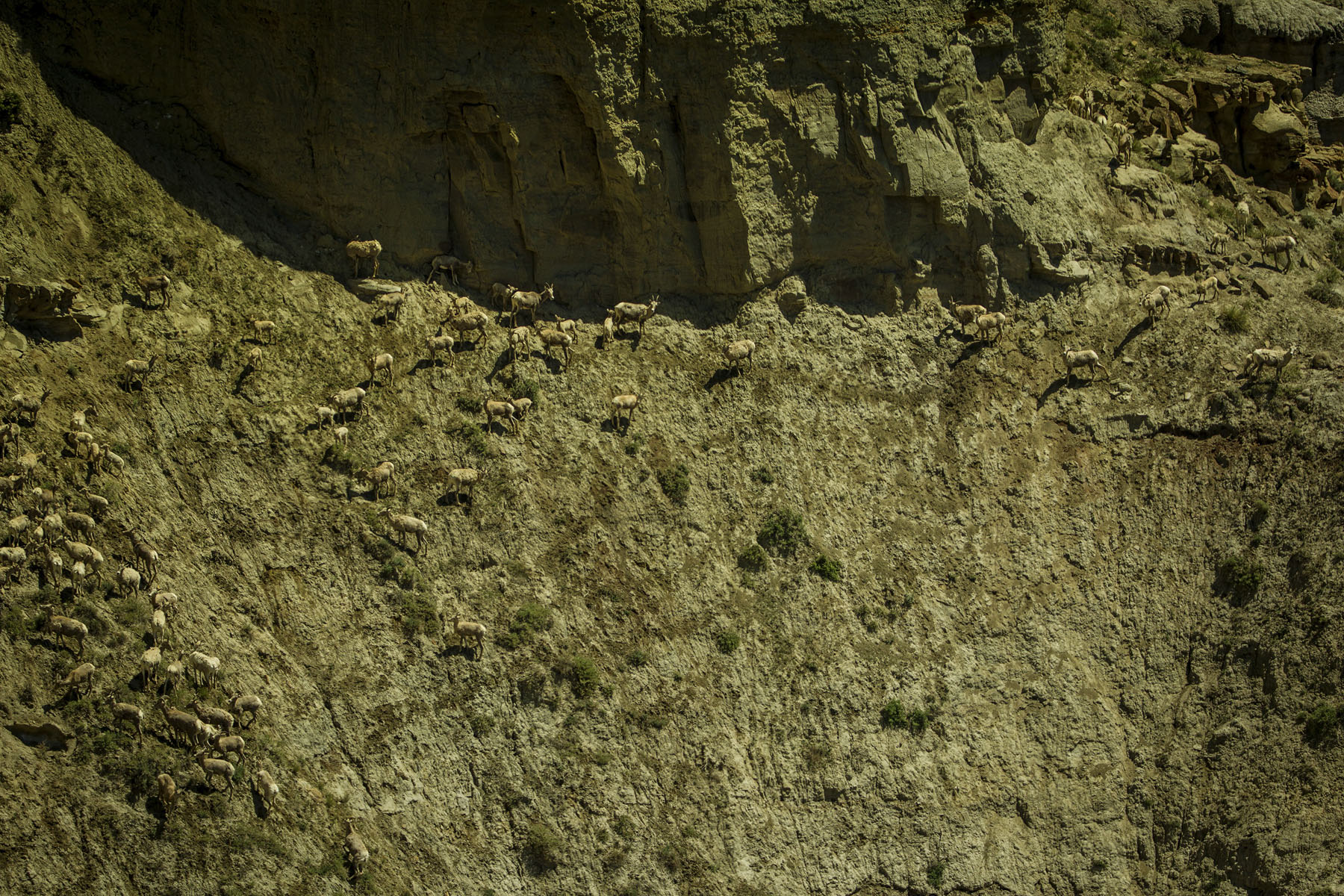 PN Ranch property picture 119 of 184