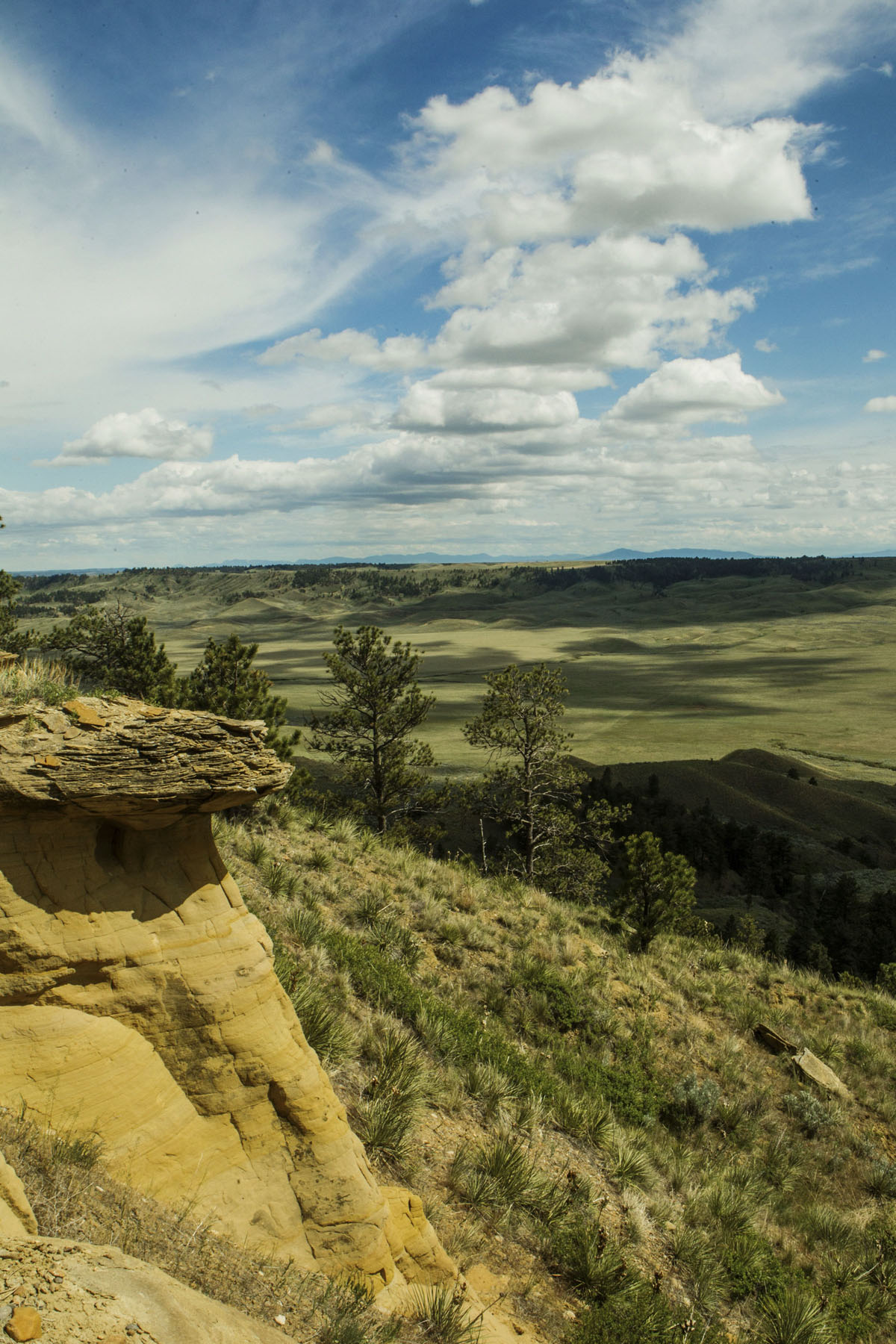 PN Ranch property picture 113 of 184