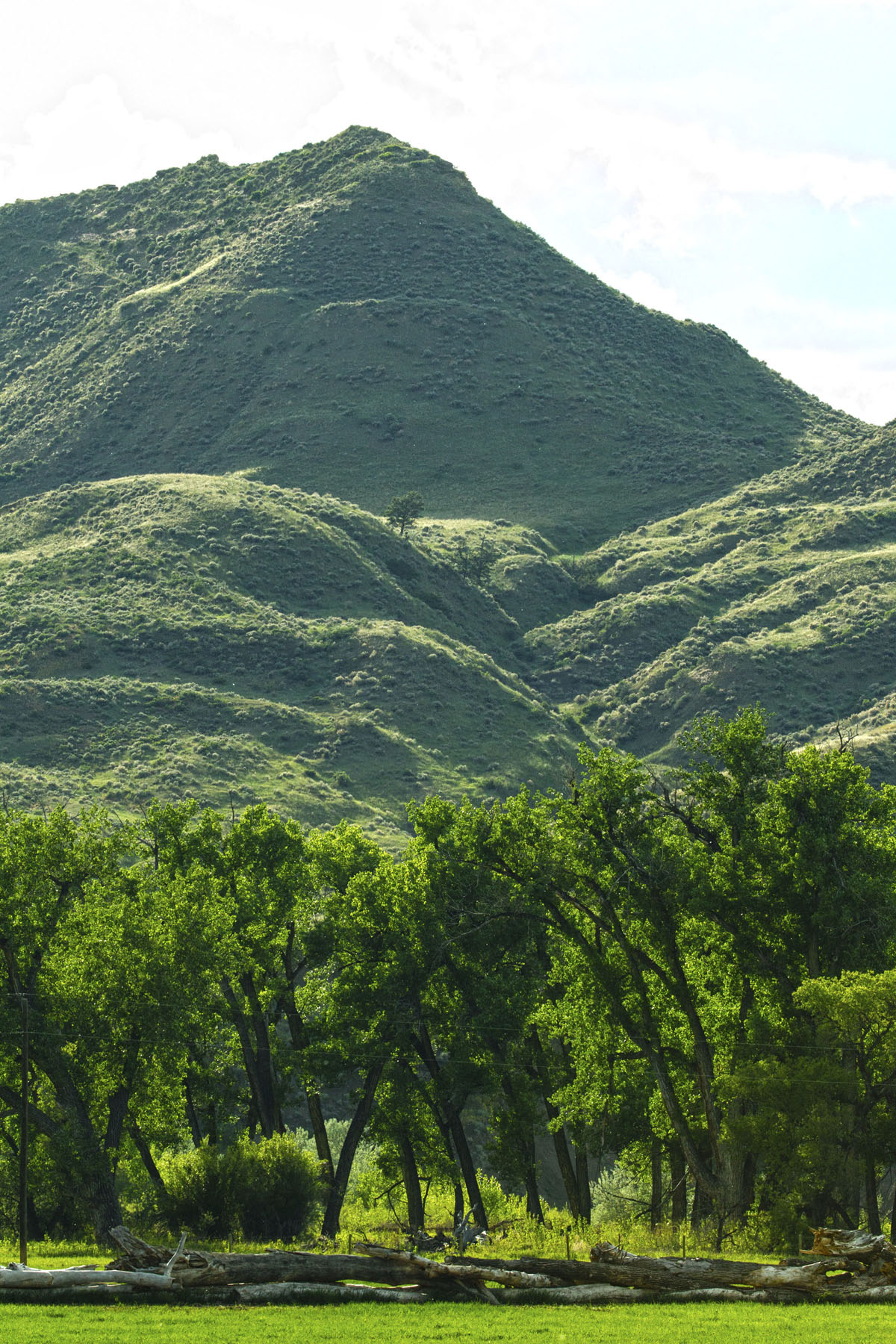 PN Ranch property picture 112 of 184