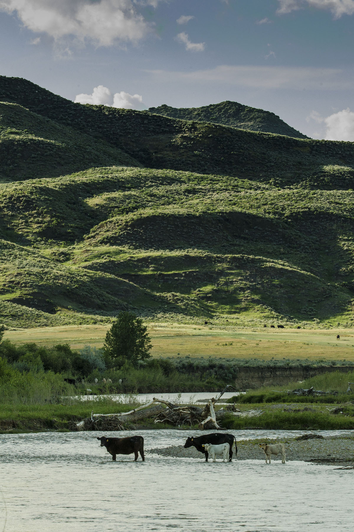 PN Ranch property picture 111 of 184