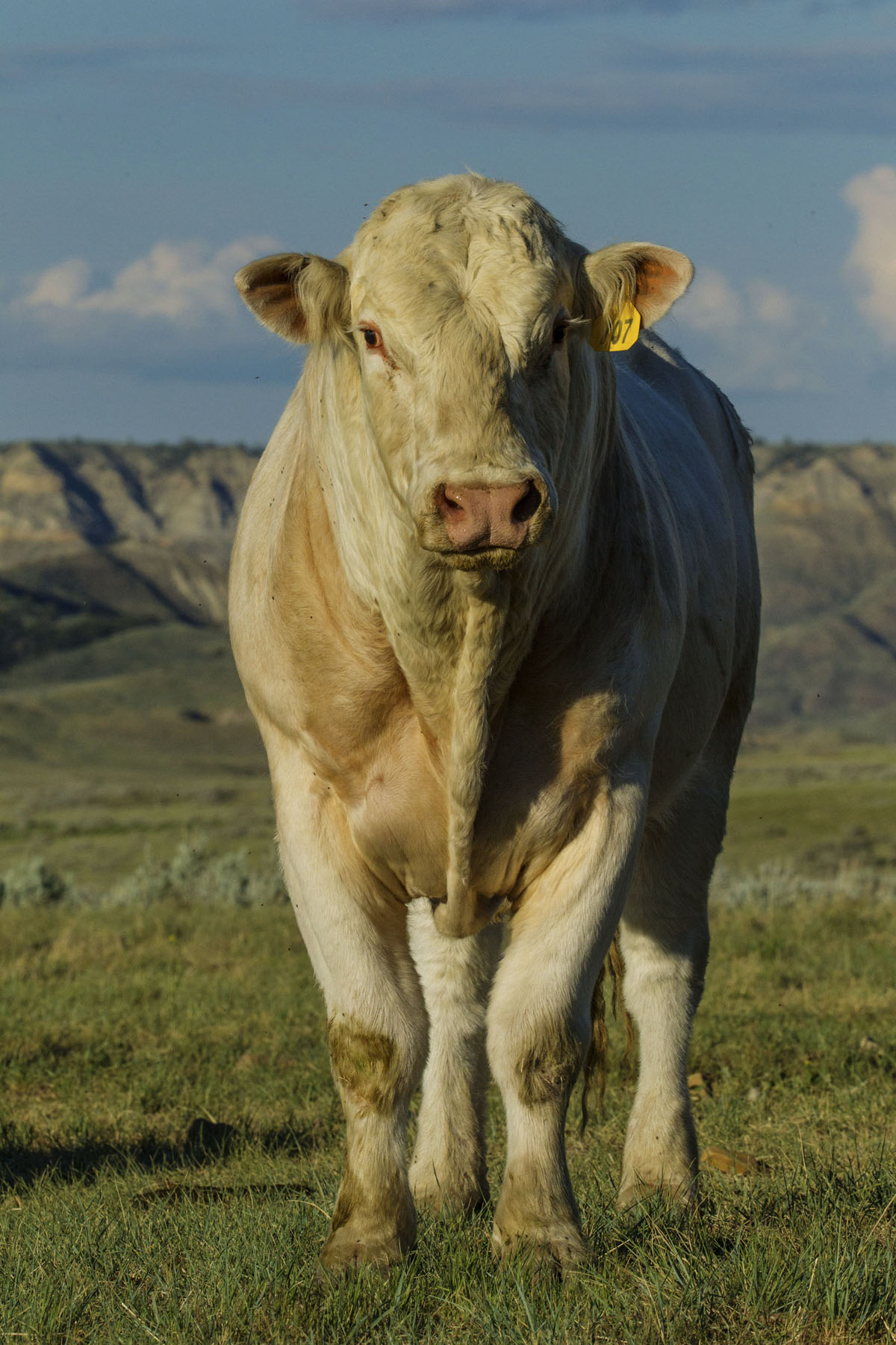 PN Ranch property picture 110 of 184