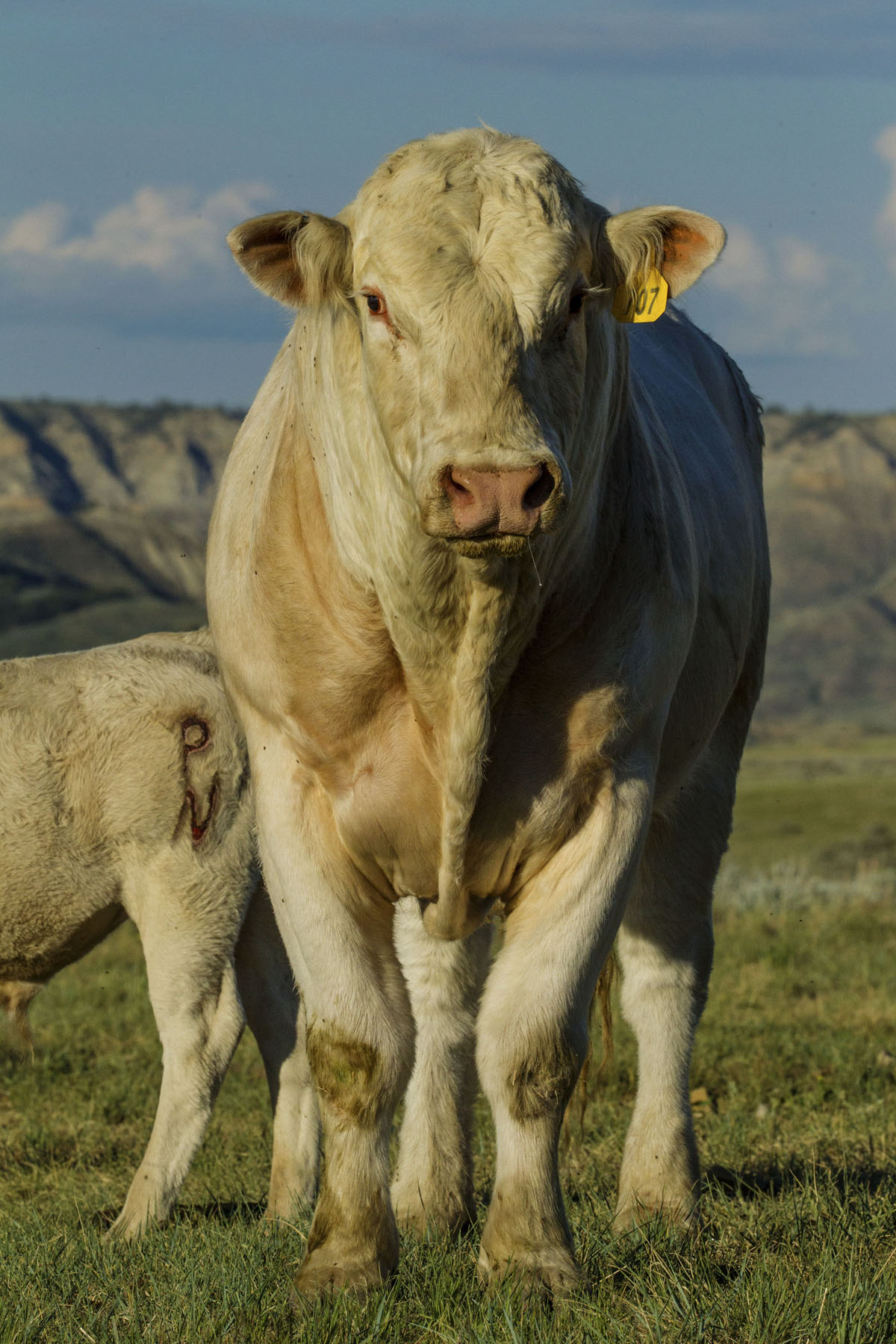 PN Ranch property picture 109 of 184