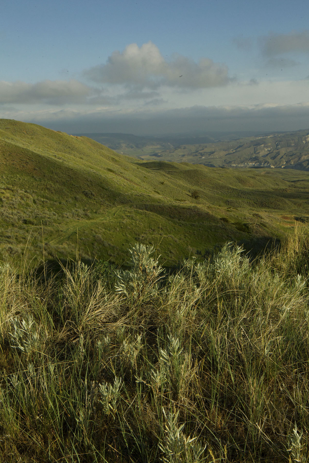 PN Ranch property picture 107 of 184