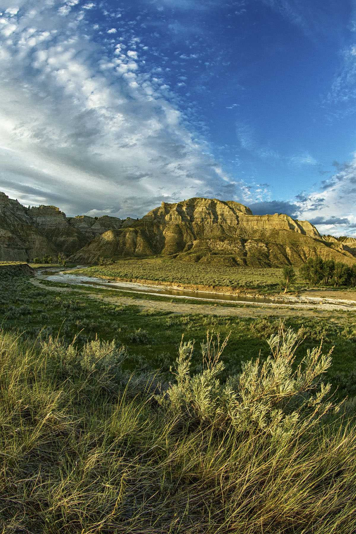 PN Ranch property picture 101 of 184