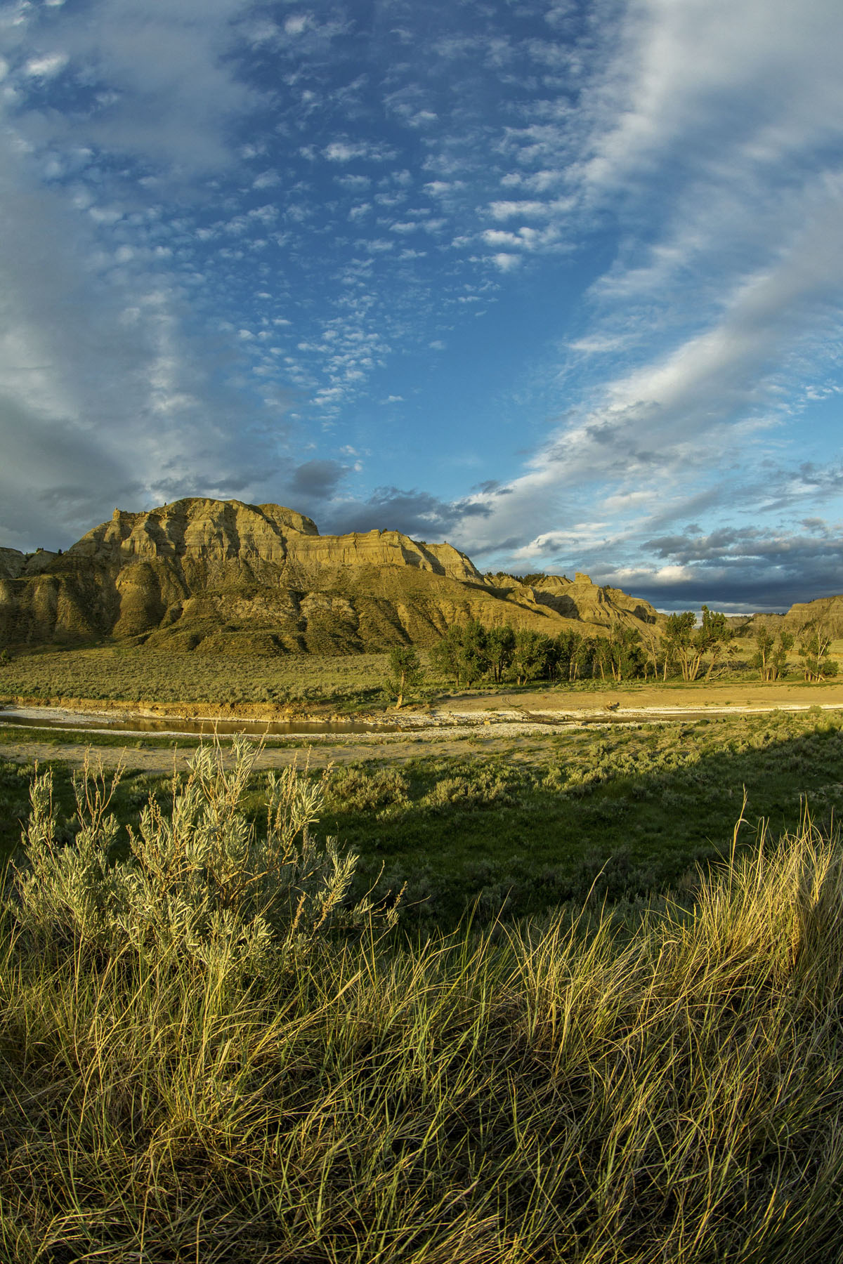 PN Ranch property picture 100 of 184