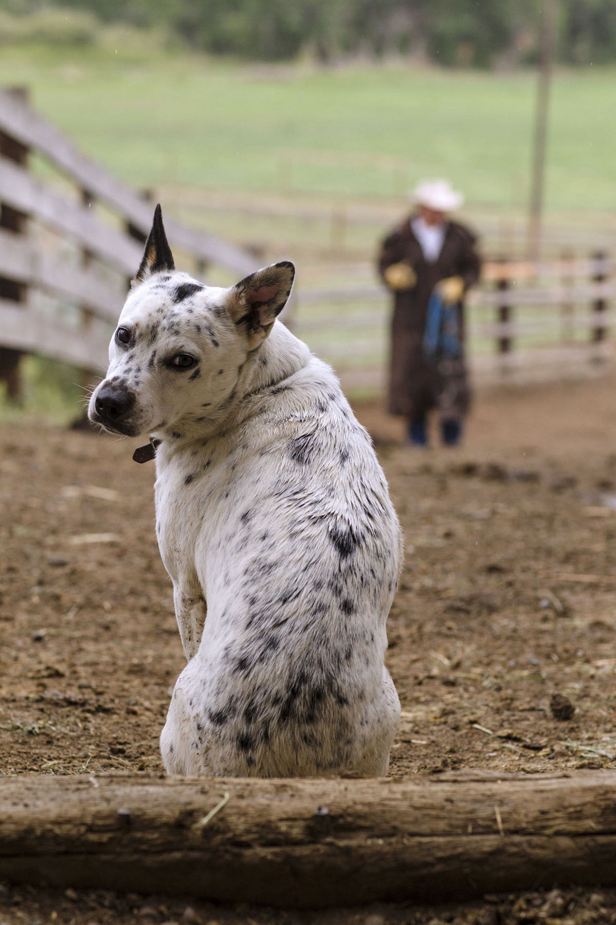 PN Ranch property picture 97 of 184