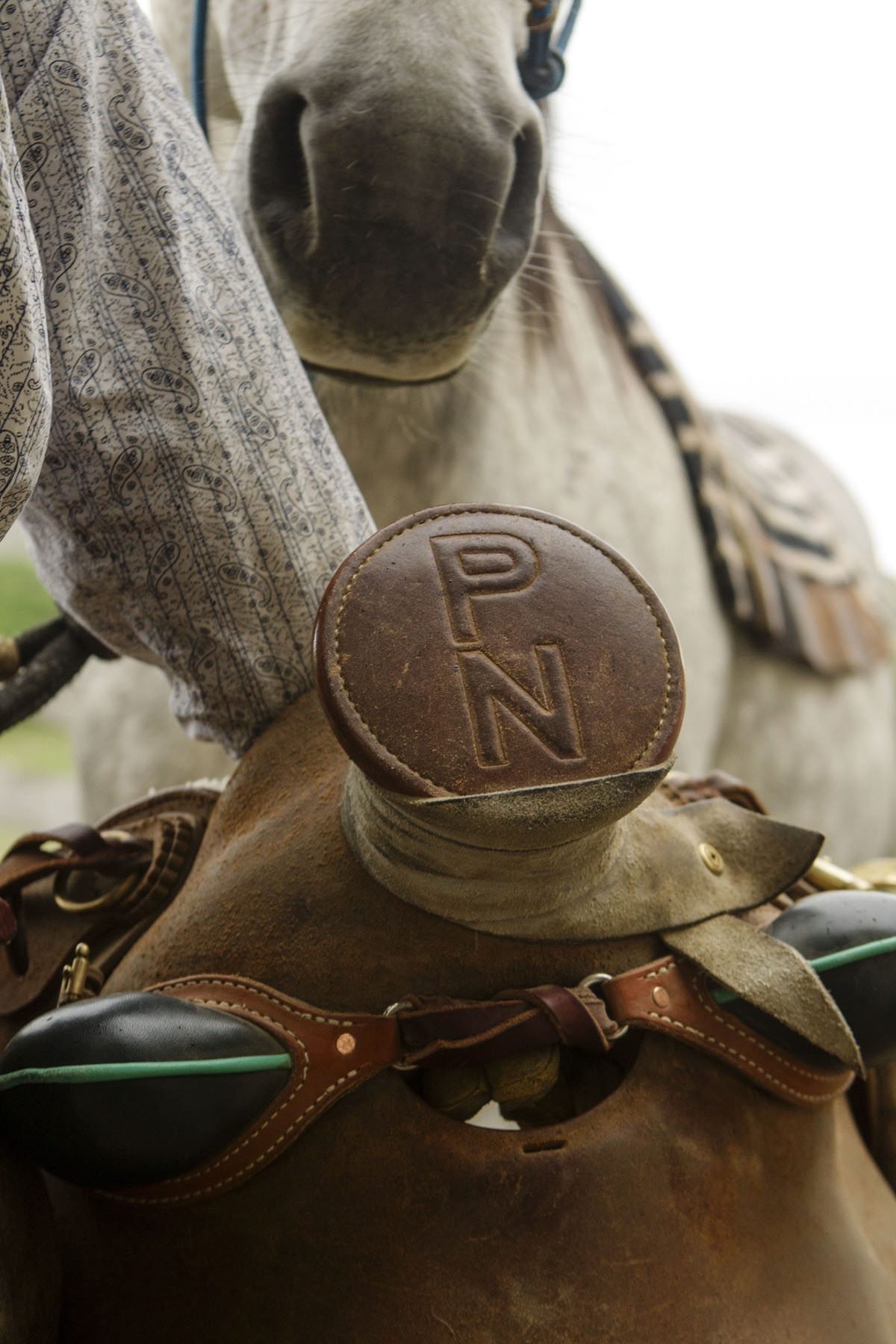 PN Ranch property picture 96 of 184