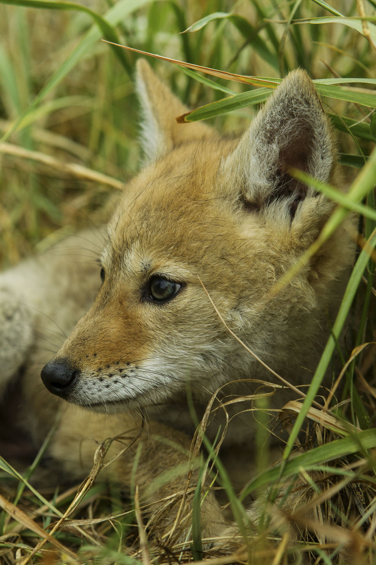 PN Ranch property picture 94 of 184