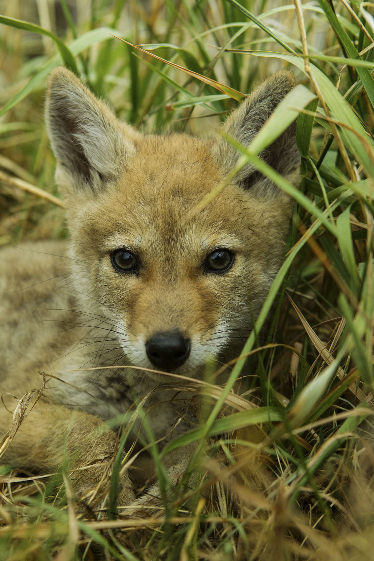 PN Ranch property picture 93 of 184