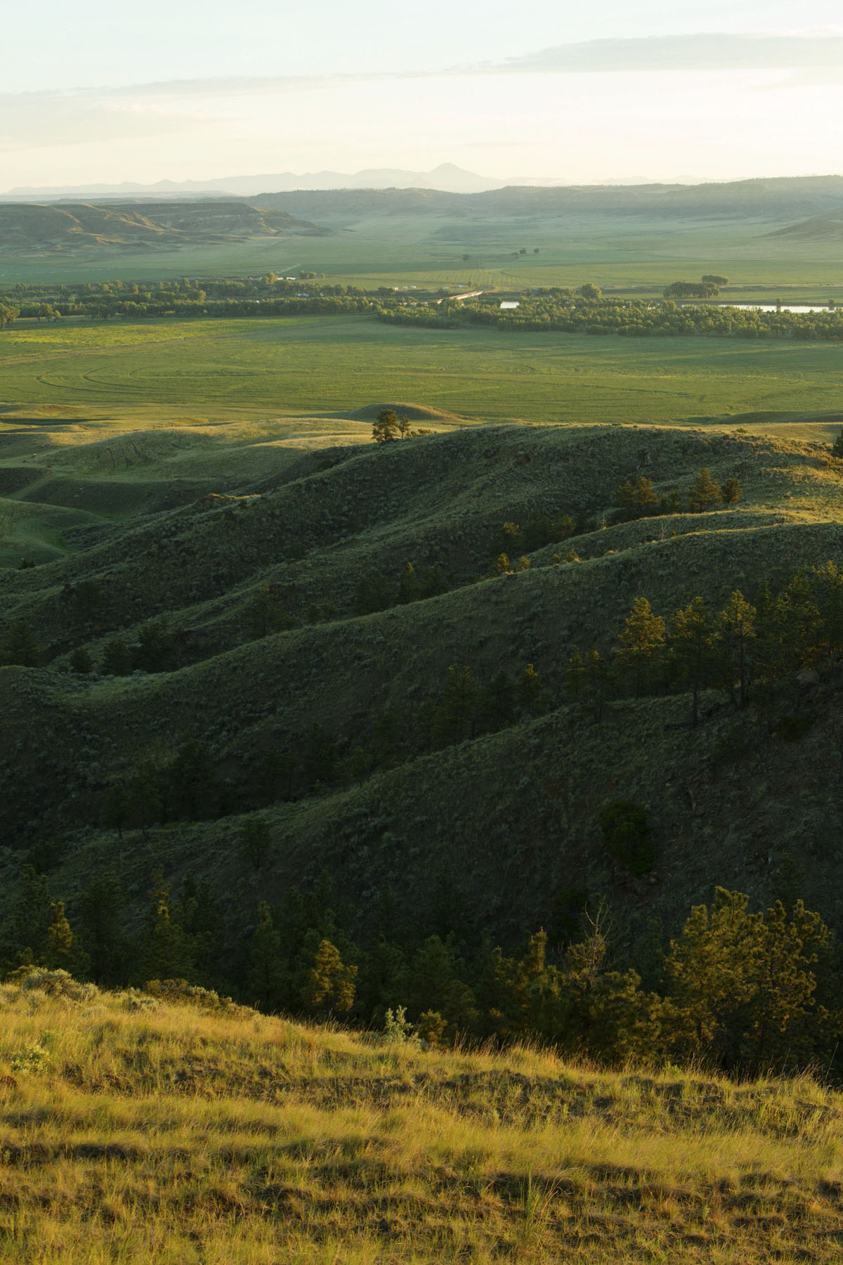 PN Ranch property picture 86 of 184