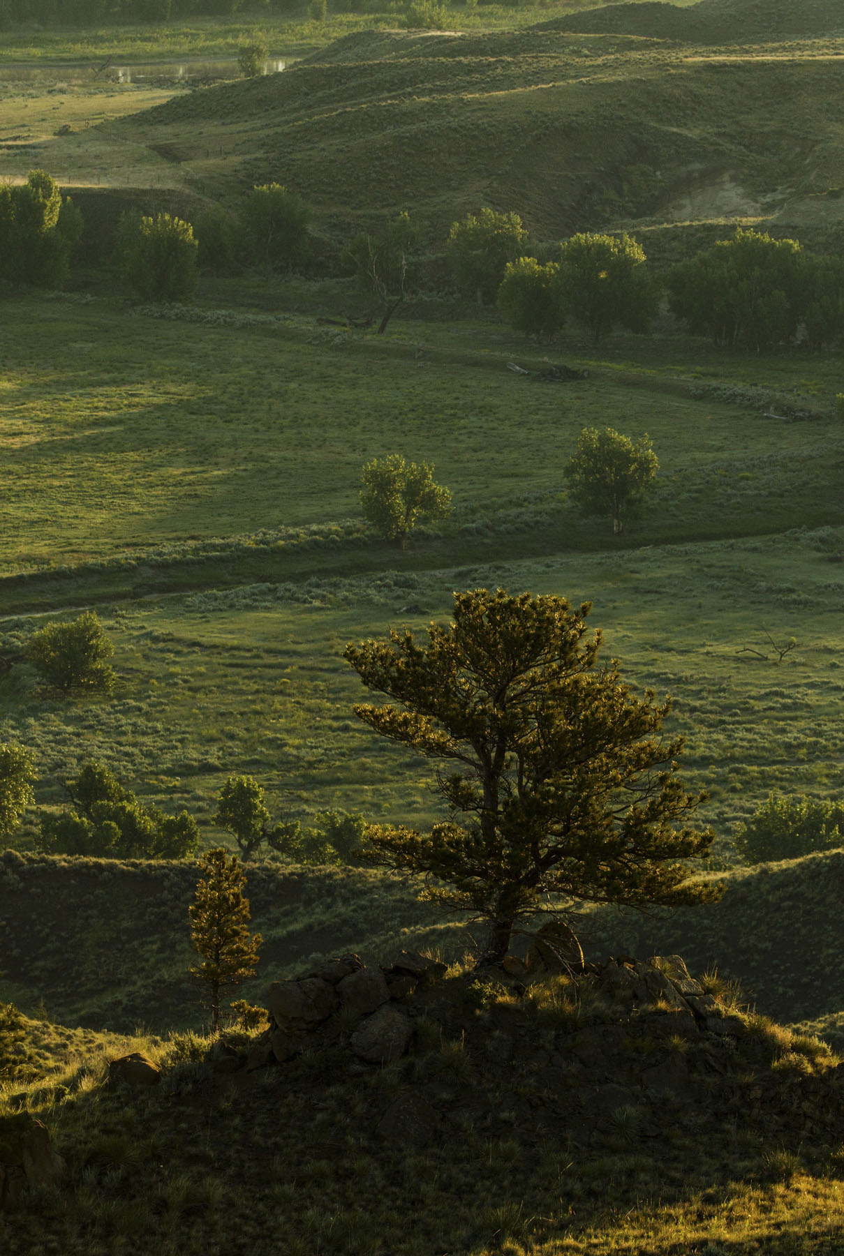 PN Ranch property picture 81 of 184