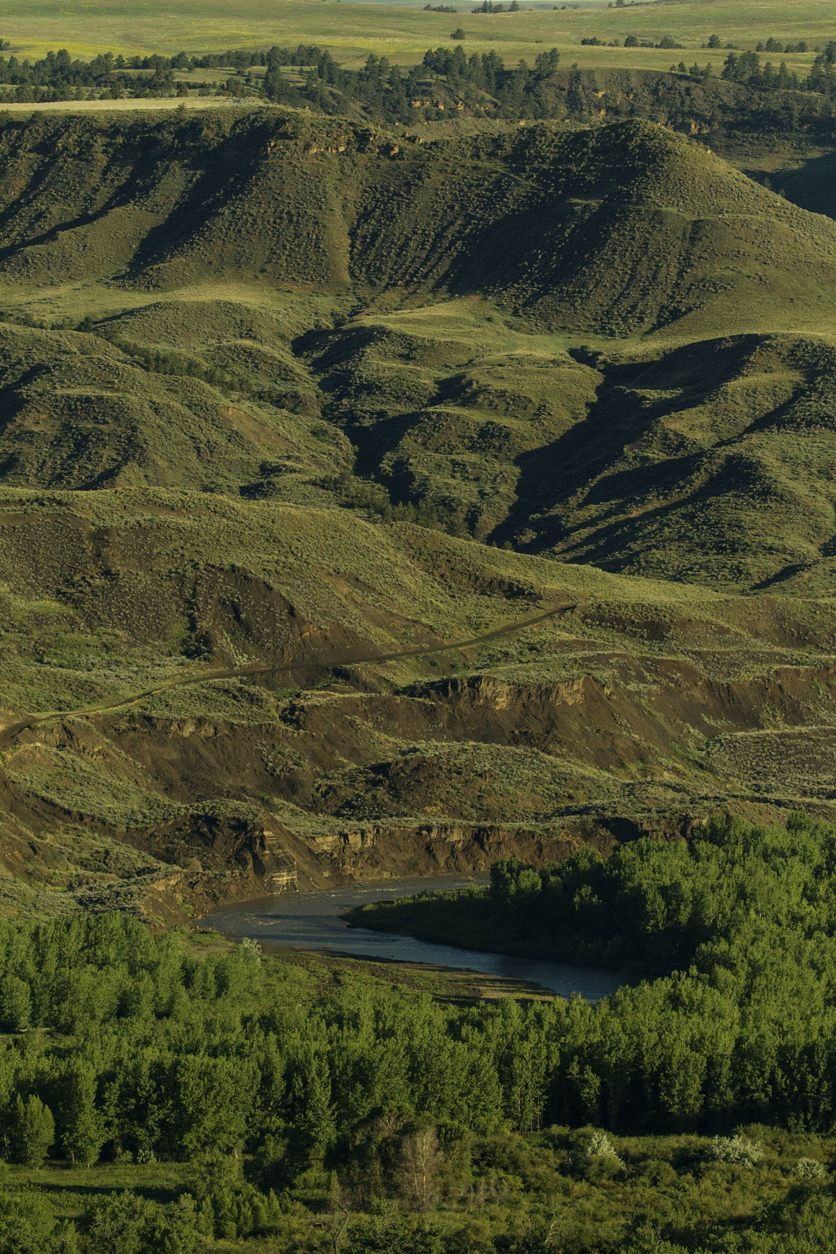 PN Ranch property picture 74 of 184