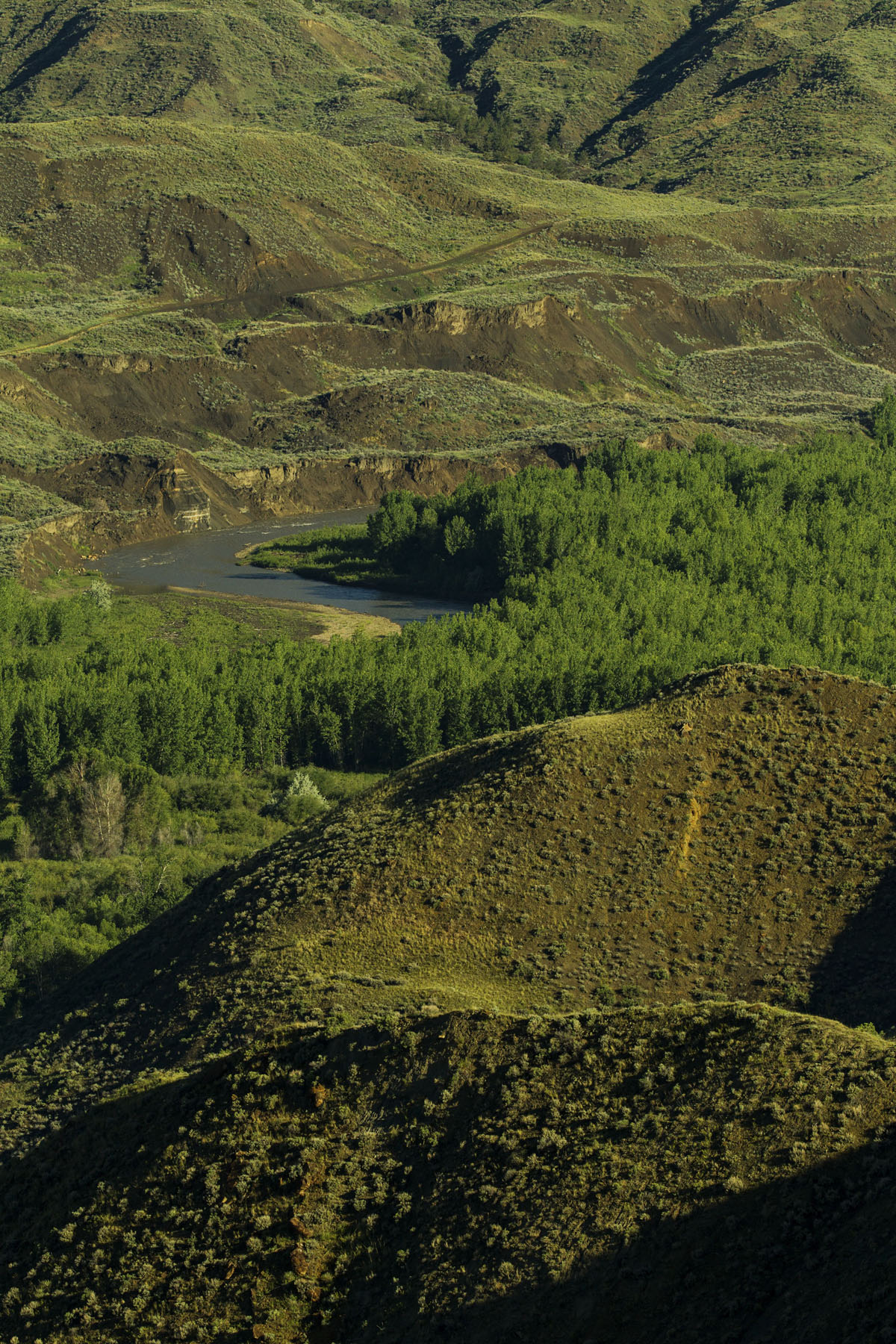 PN Ranch property picture 70 of 184