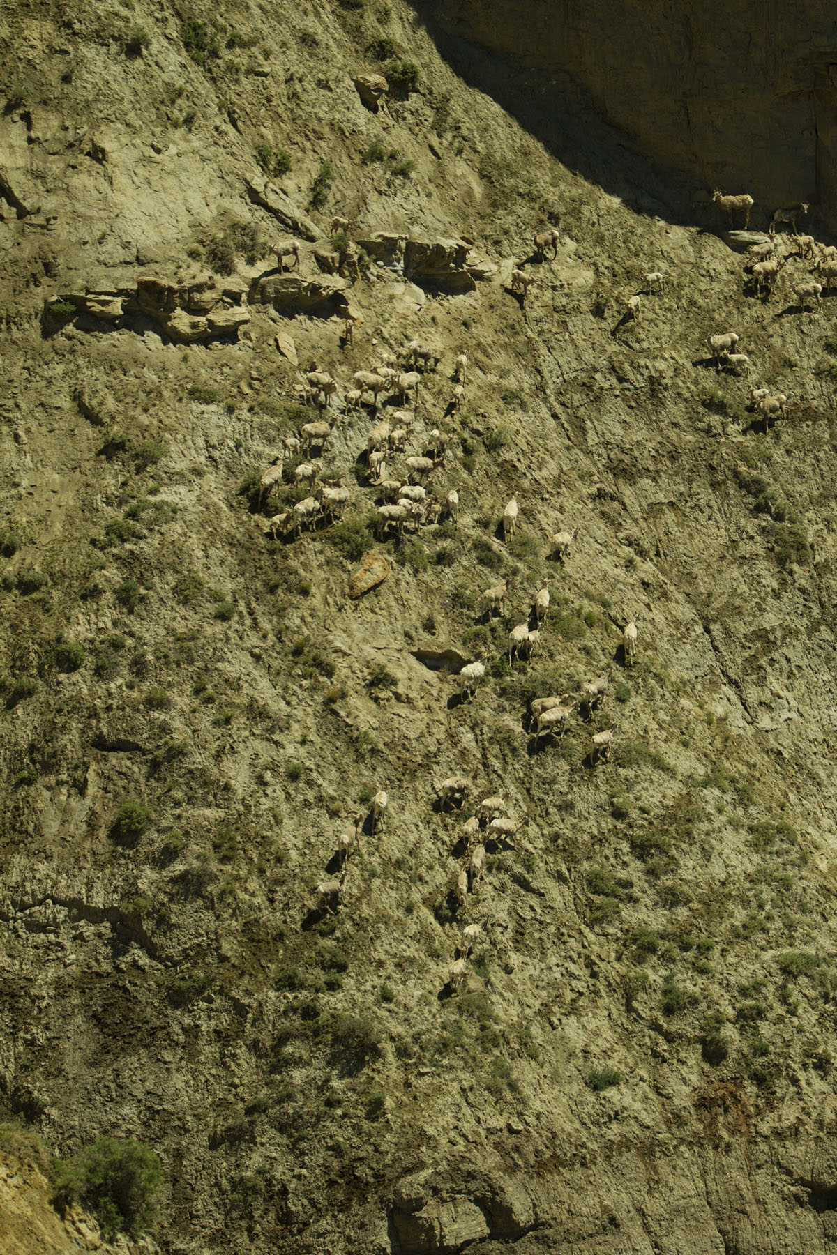 PN Ranch property picture 68 of 184