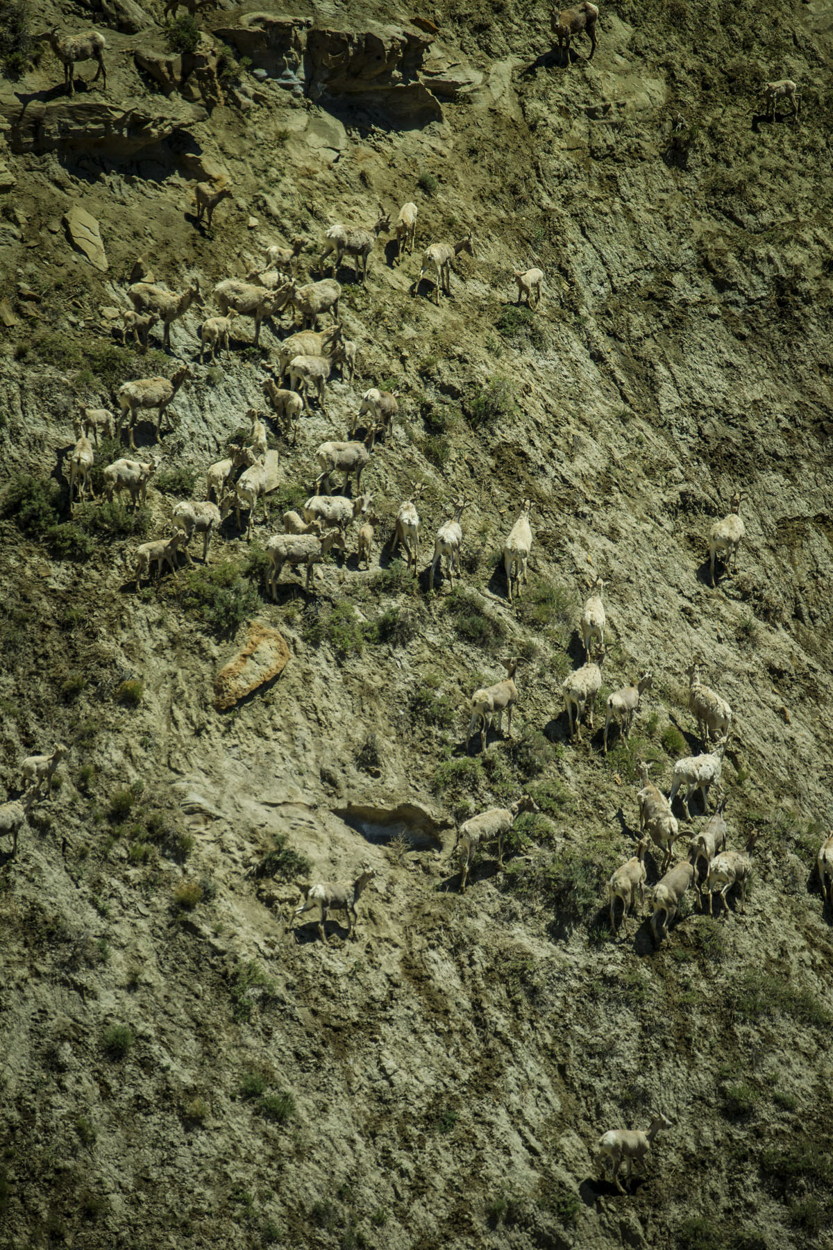 PN Ranch property picture 67 of 184