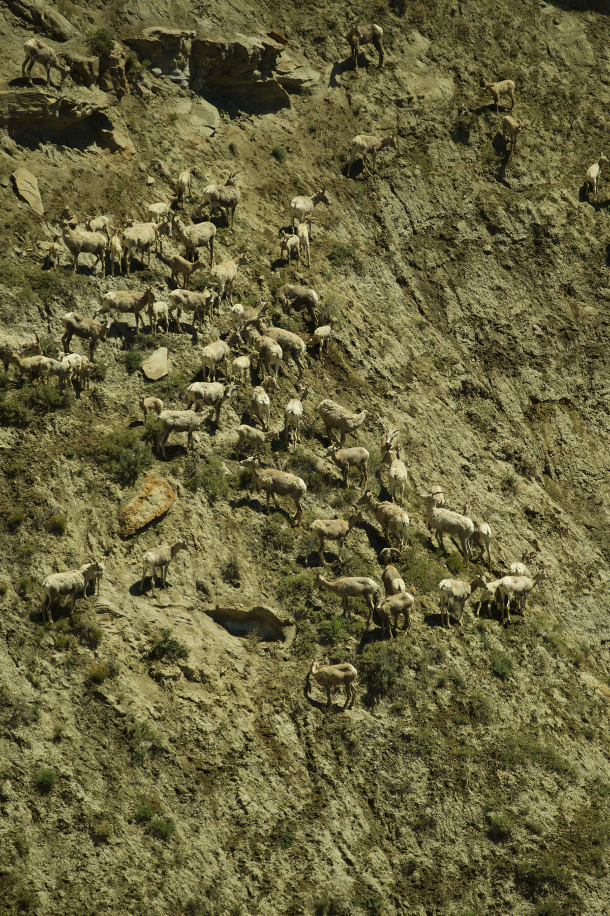 PN Ranch property picture 66 of 184