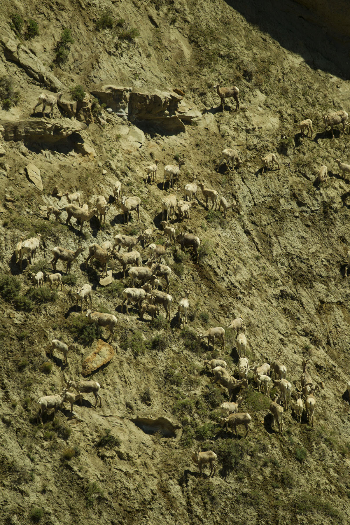 PN Ranch property picture 65 of 184