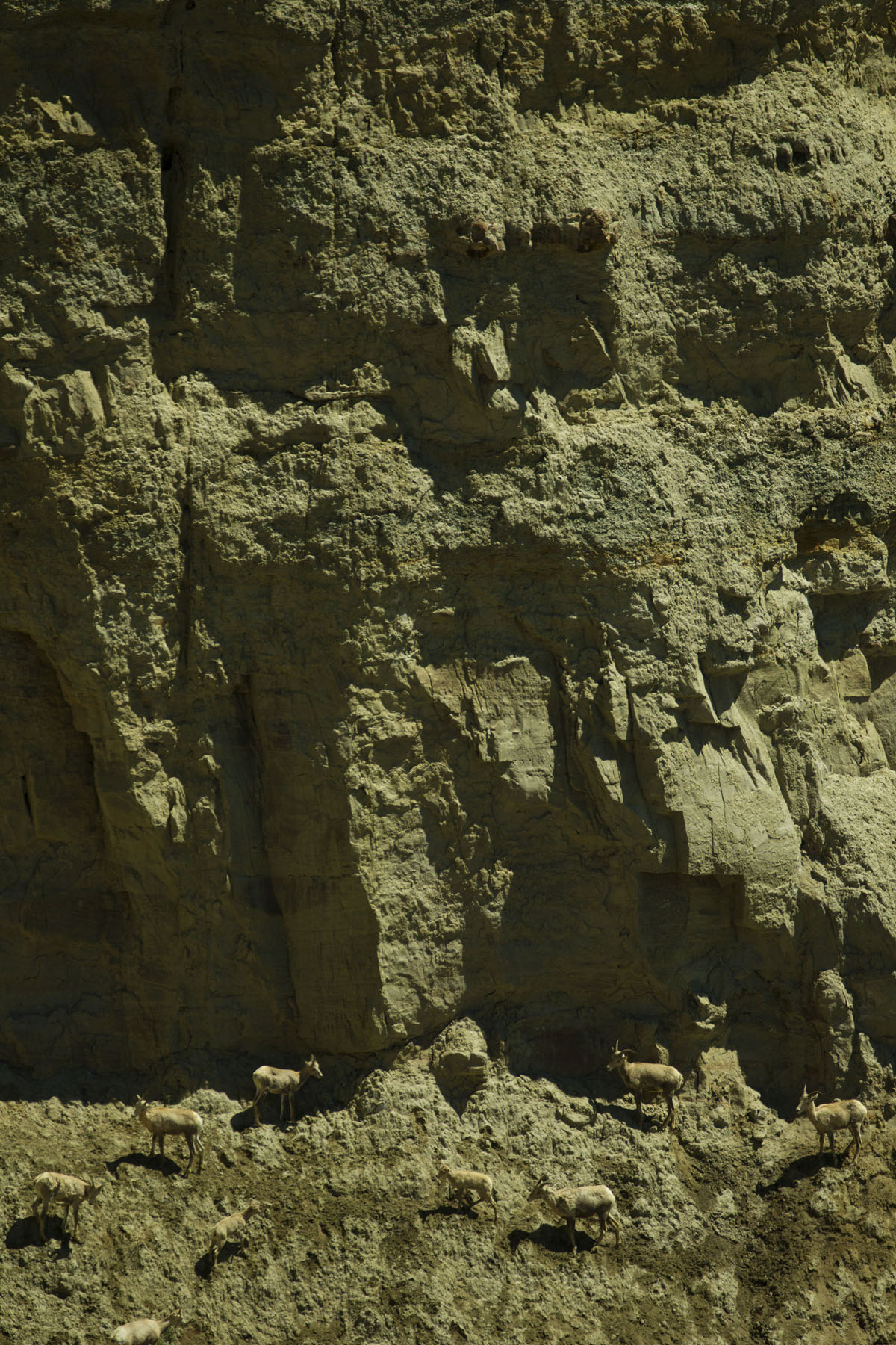 PN Ranch property picture 64 of 184