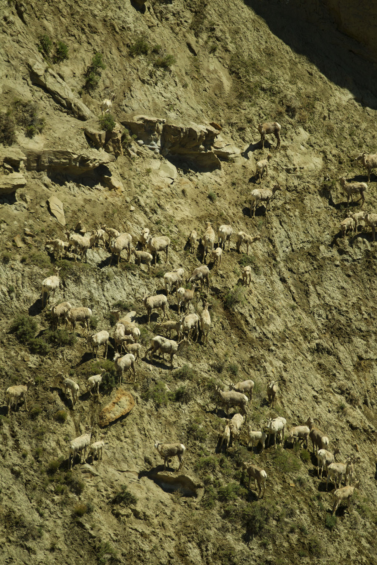 PN Ranch property picture 63 of 184